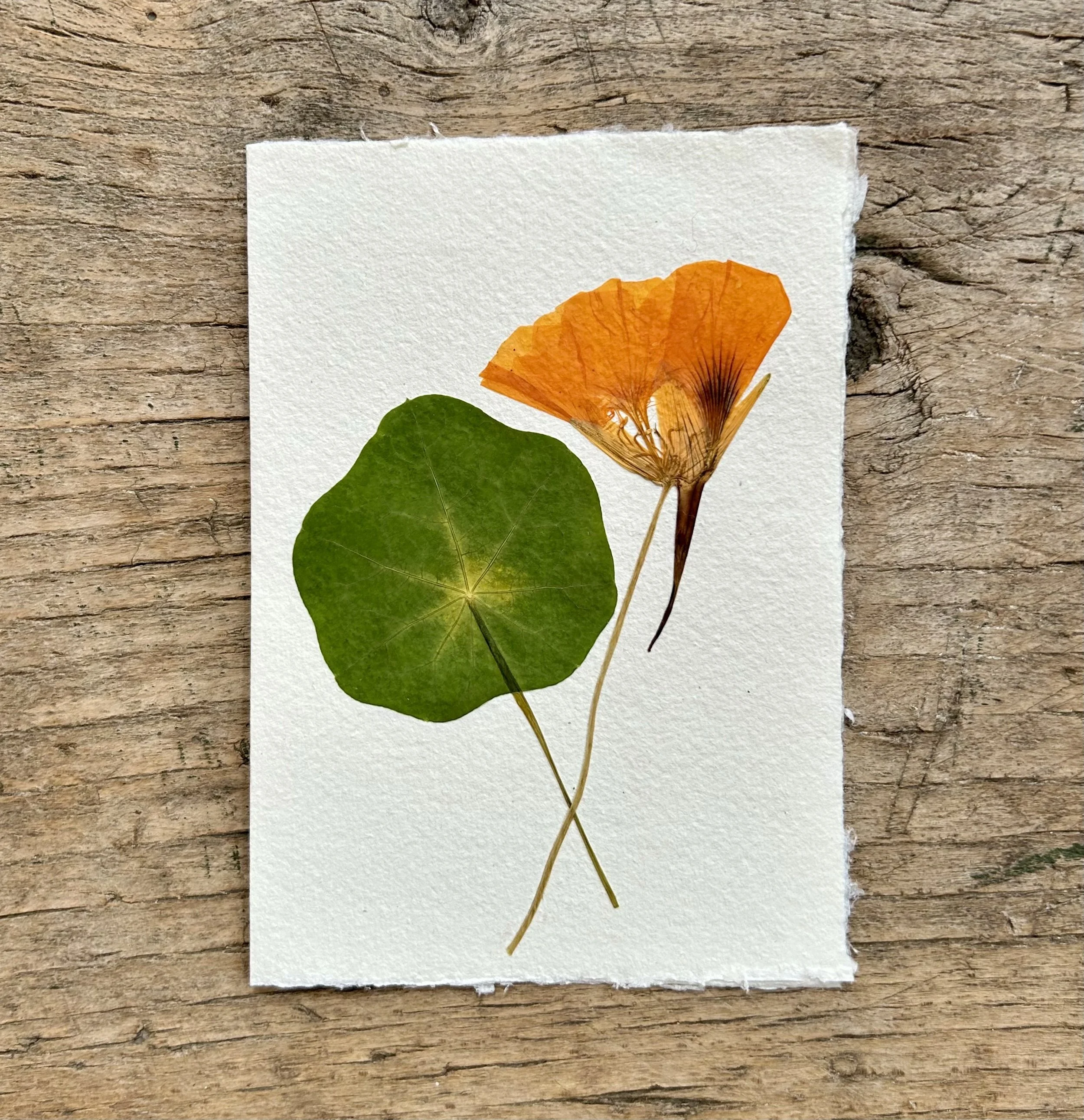 card 4.jpg