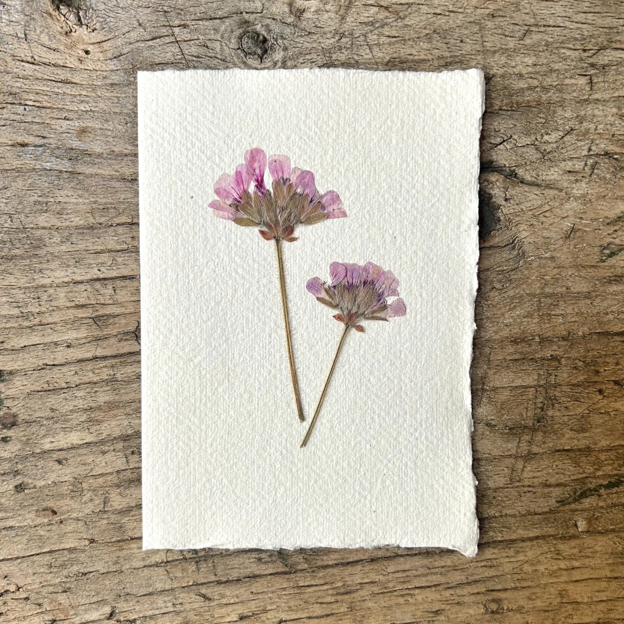 Pressed Botanical Rag Paper Card