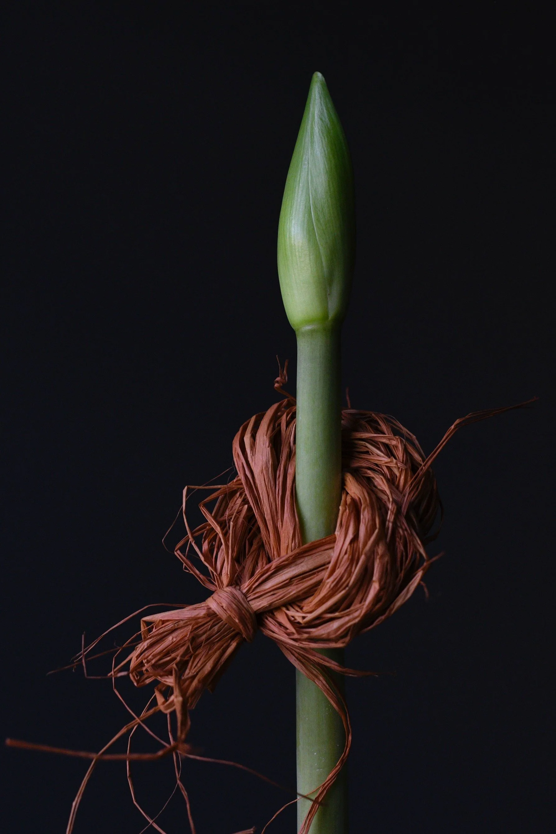 leigh raffia 2.jpg
