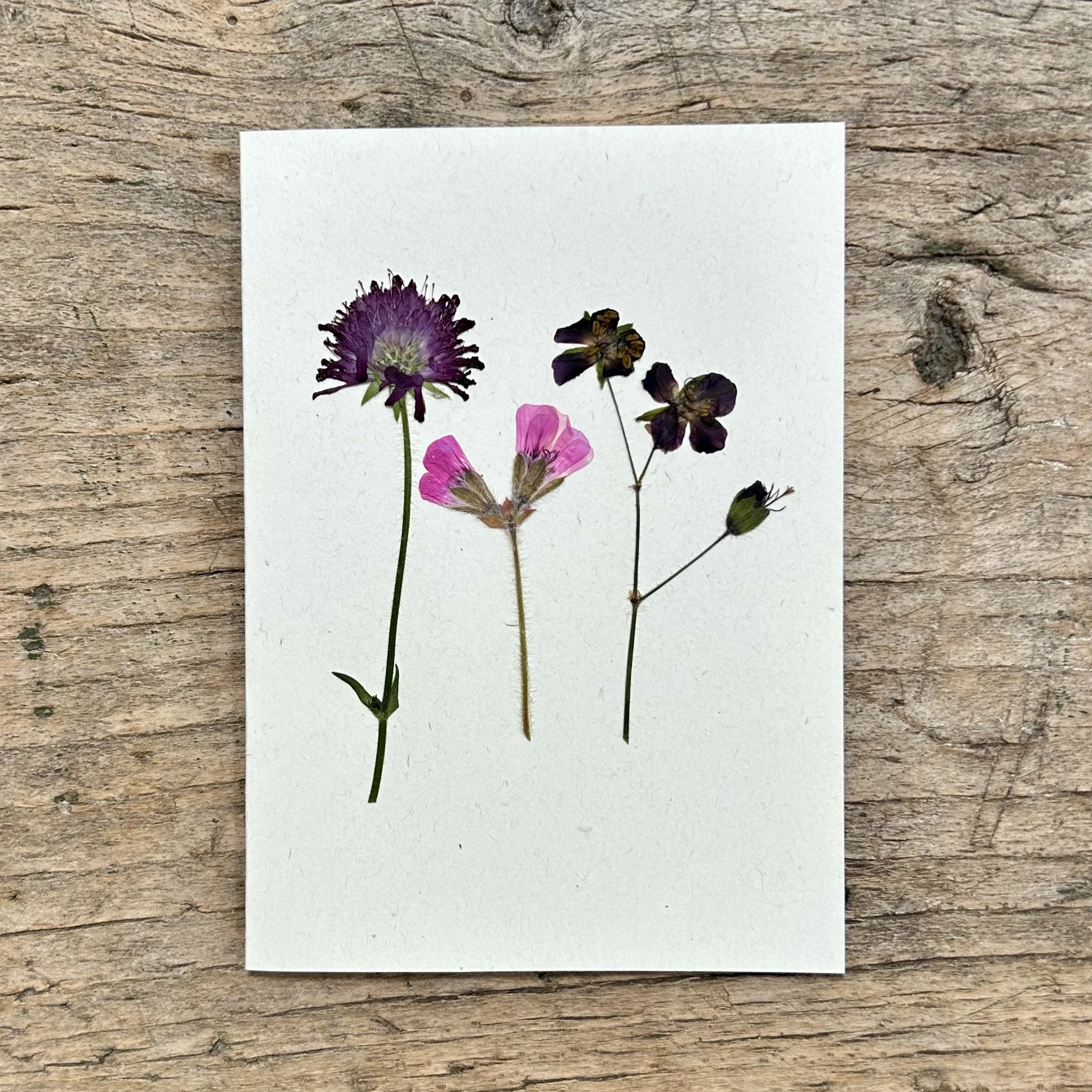 card 23.jpg
