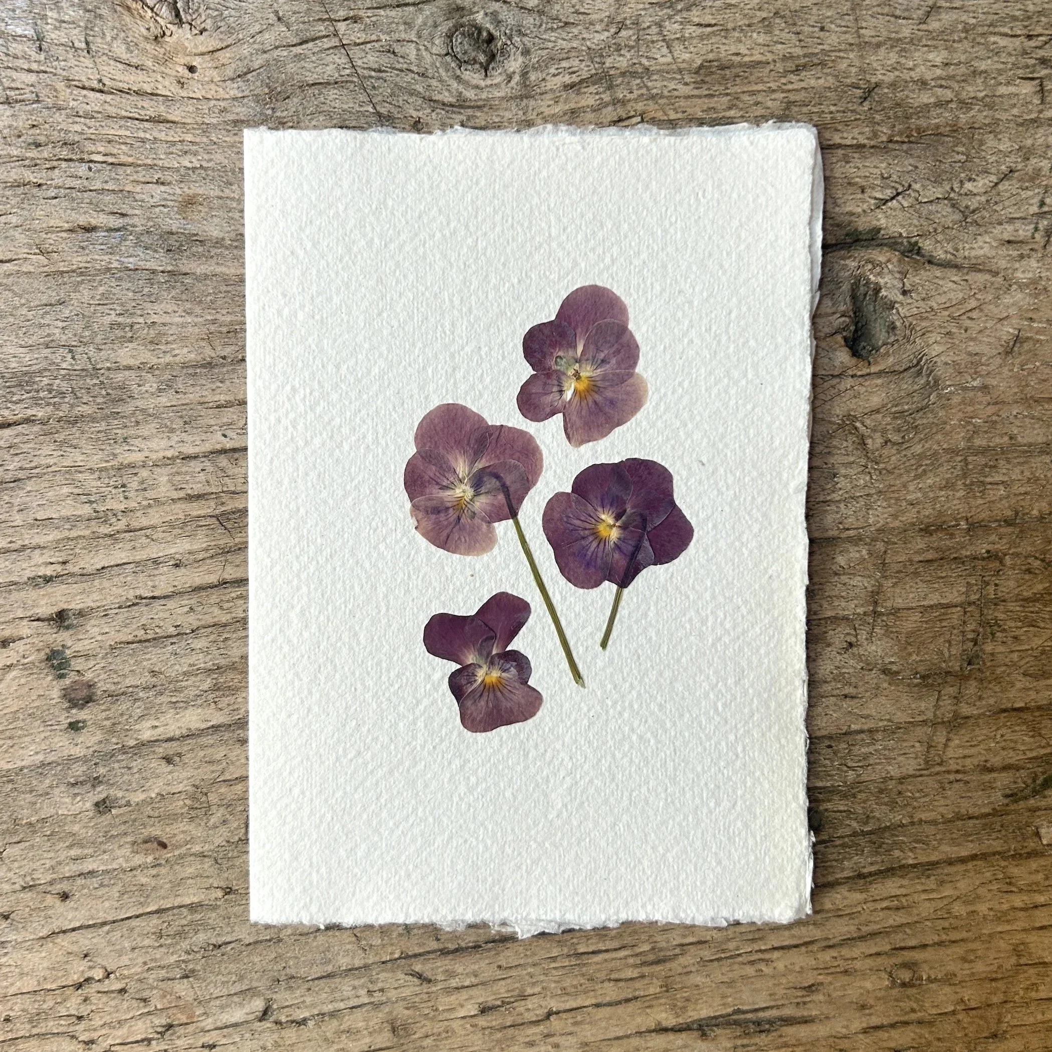 Pressed Botanical Rag Paper Card