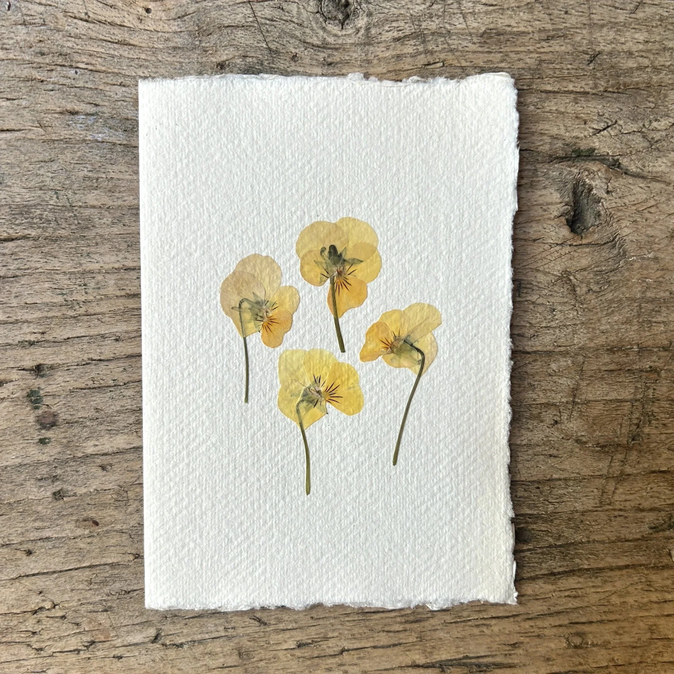 Pressed Botanical Rag Paper Card