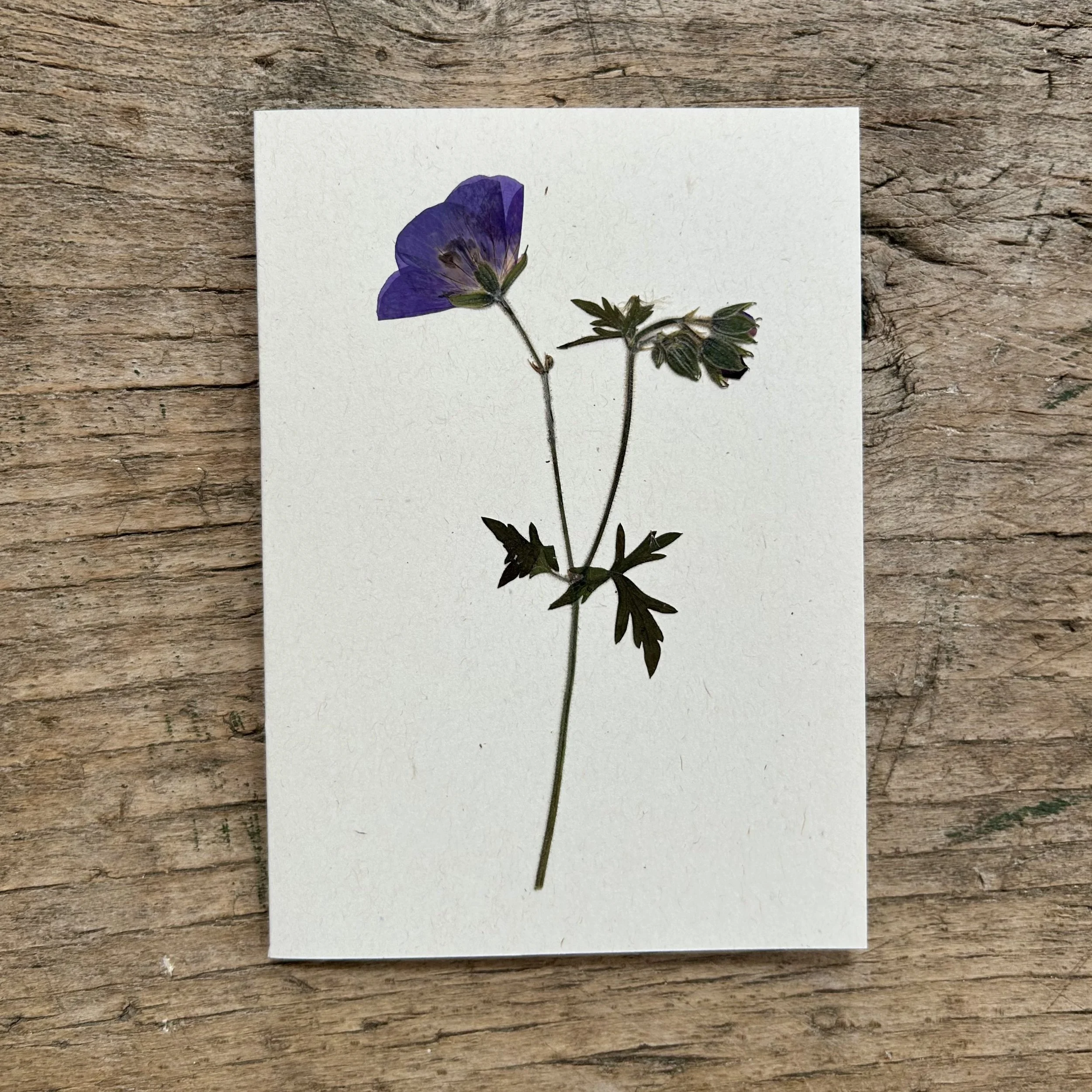 card 15.jpg