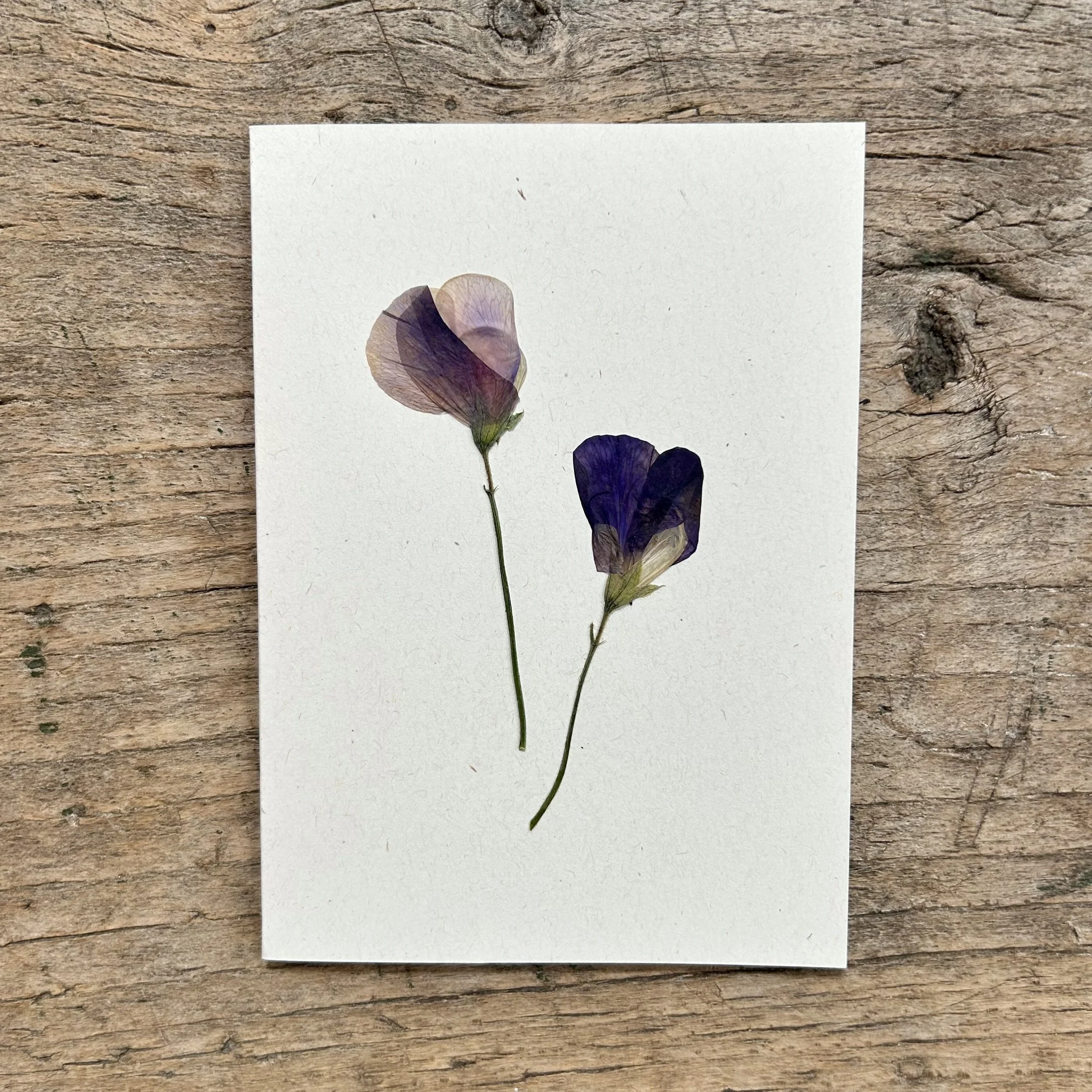 card 10.jpg