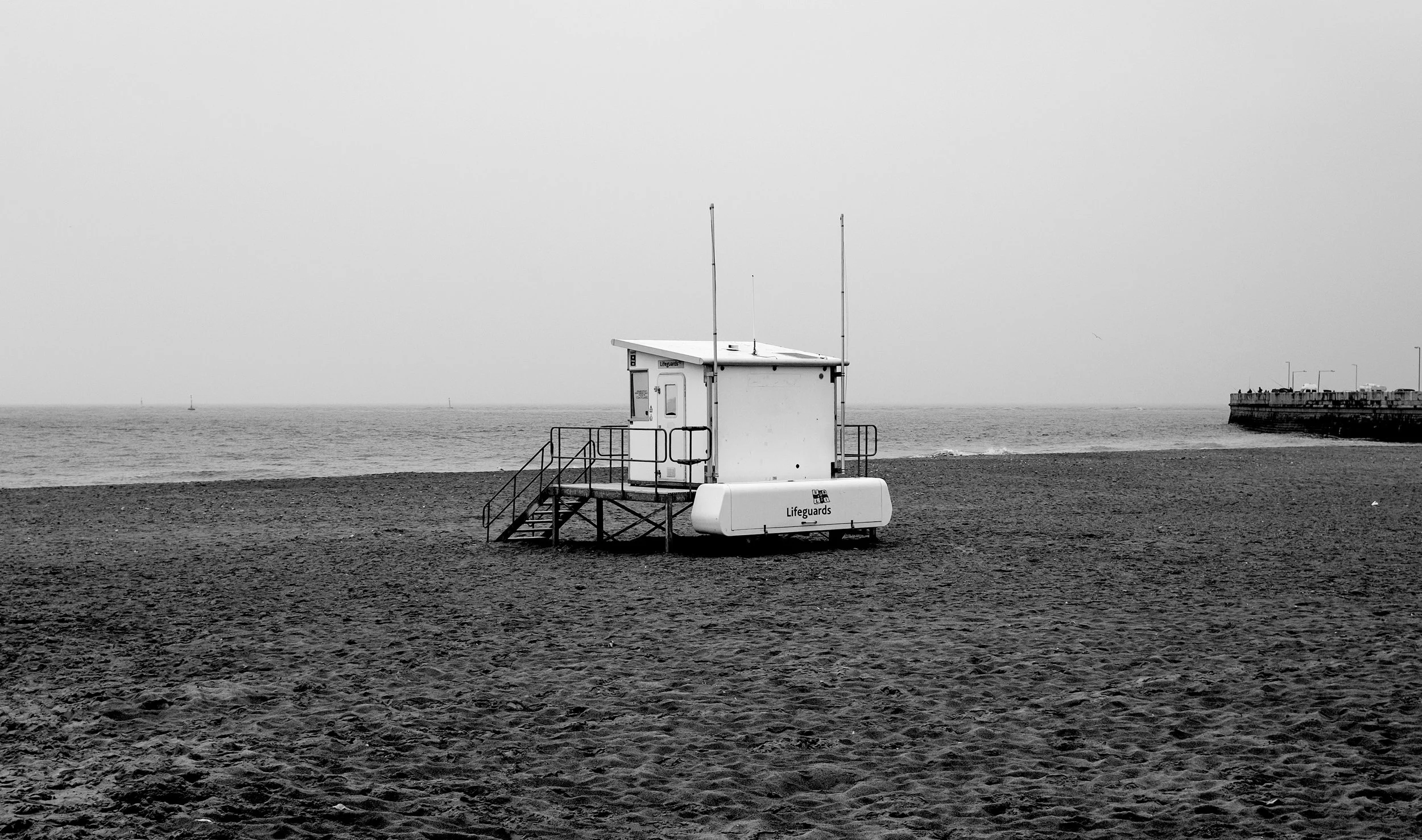 _DSF3160 BW.jpg