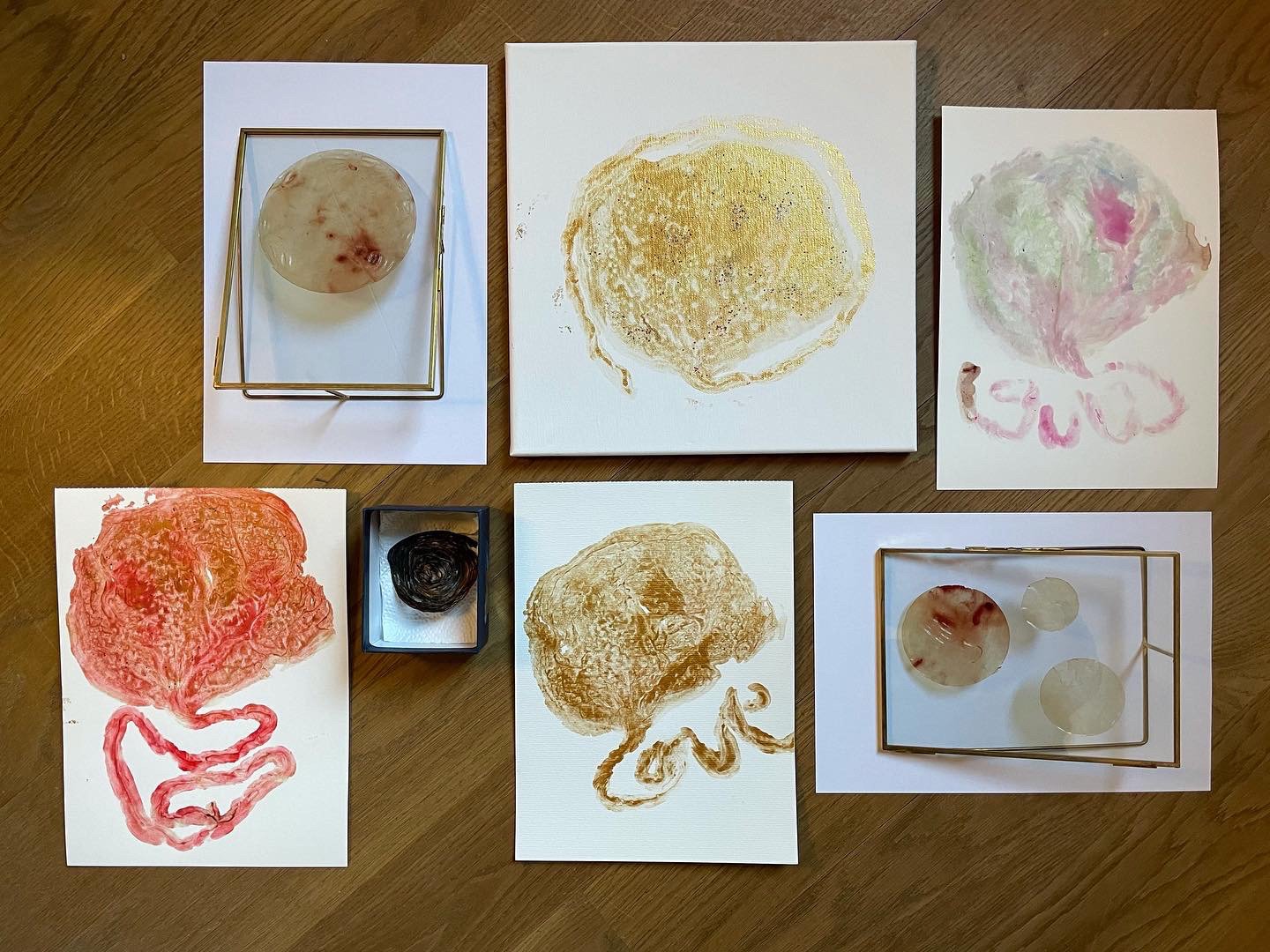 Plazenta Set - Plazenta Abdruck, Amnion Mond und Nabelschnur Schnecke