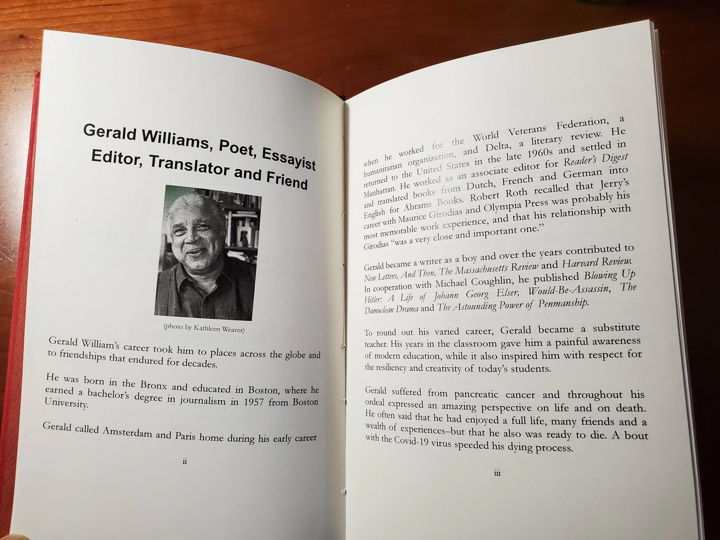 Killing Hitler, a novel by Gerald Williams