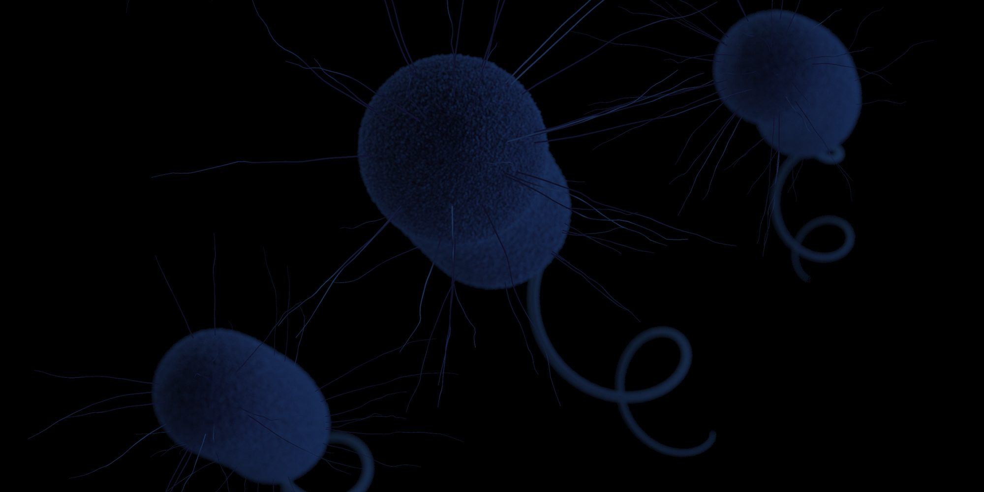 Bacteria_05.jpg