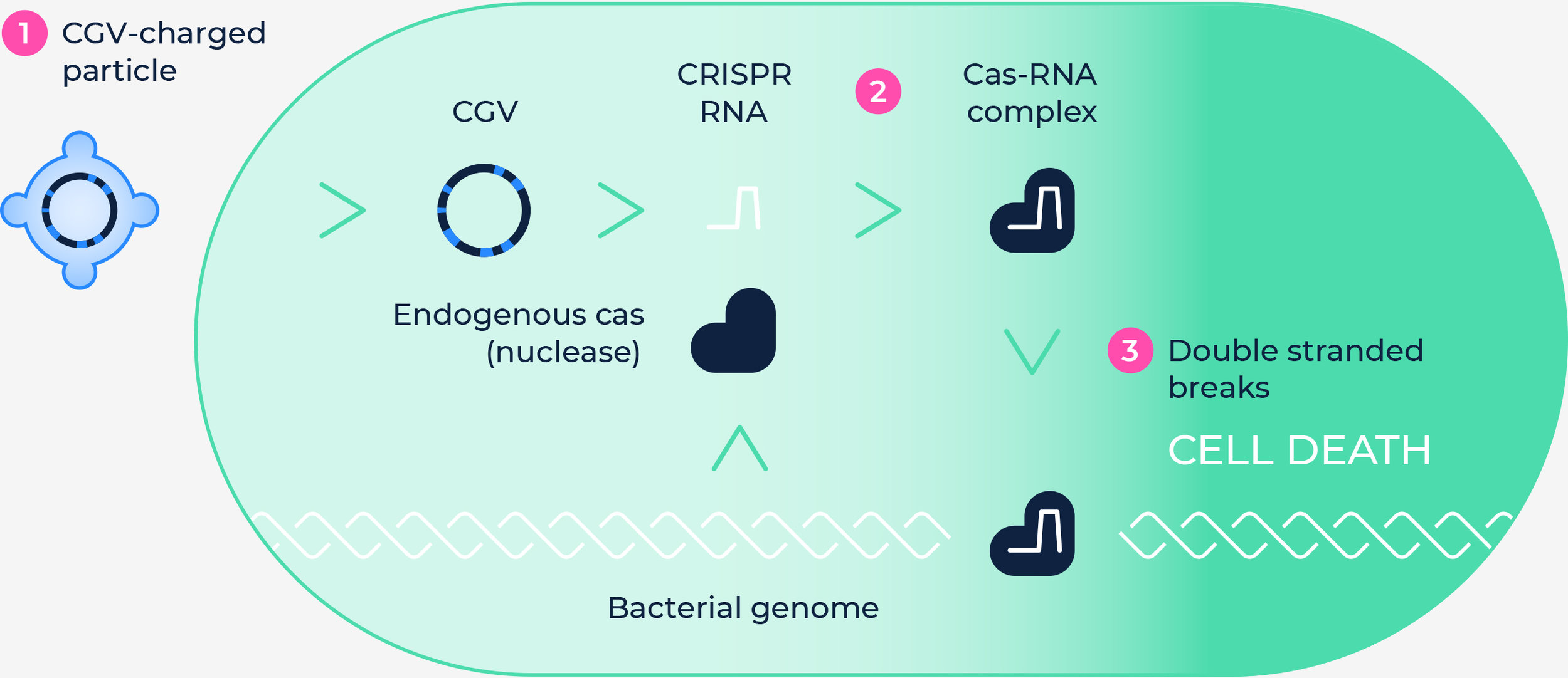 SNIPR_Biome_Figure_02.jpg