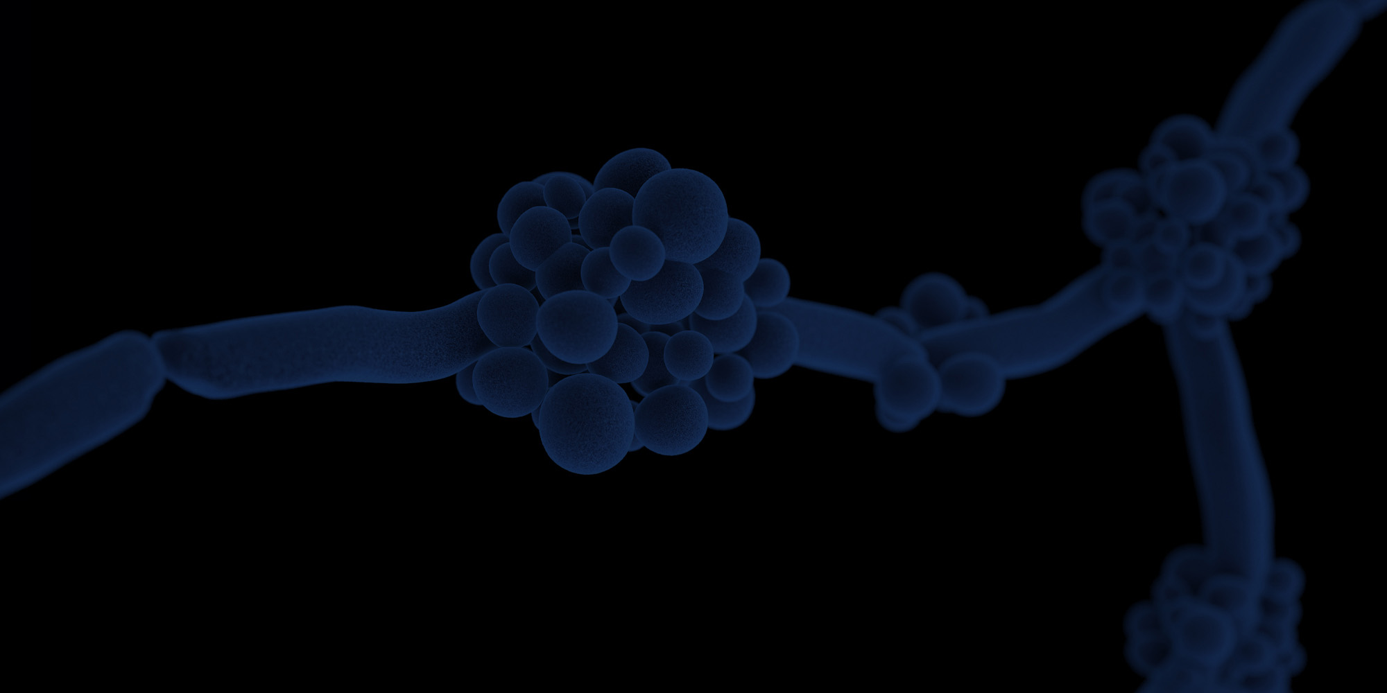 SNIPR_BIOME_BG.jpg