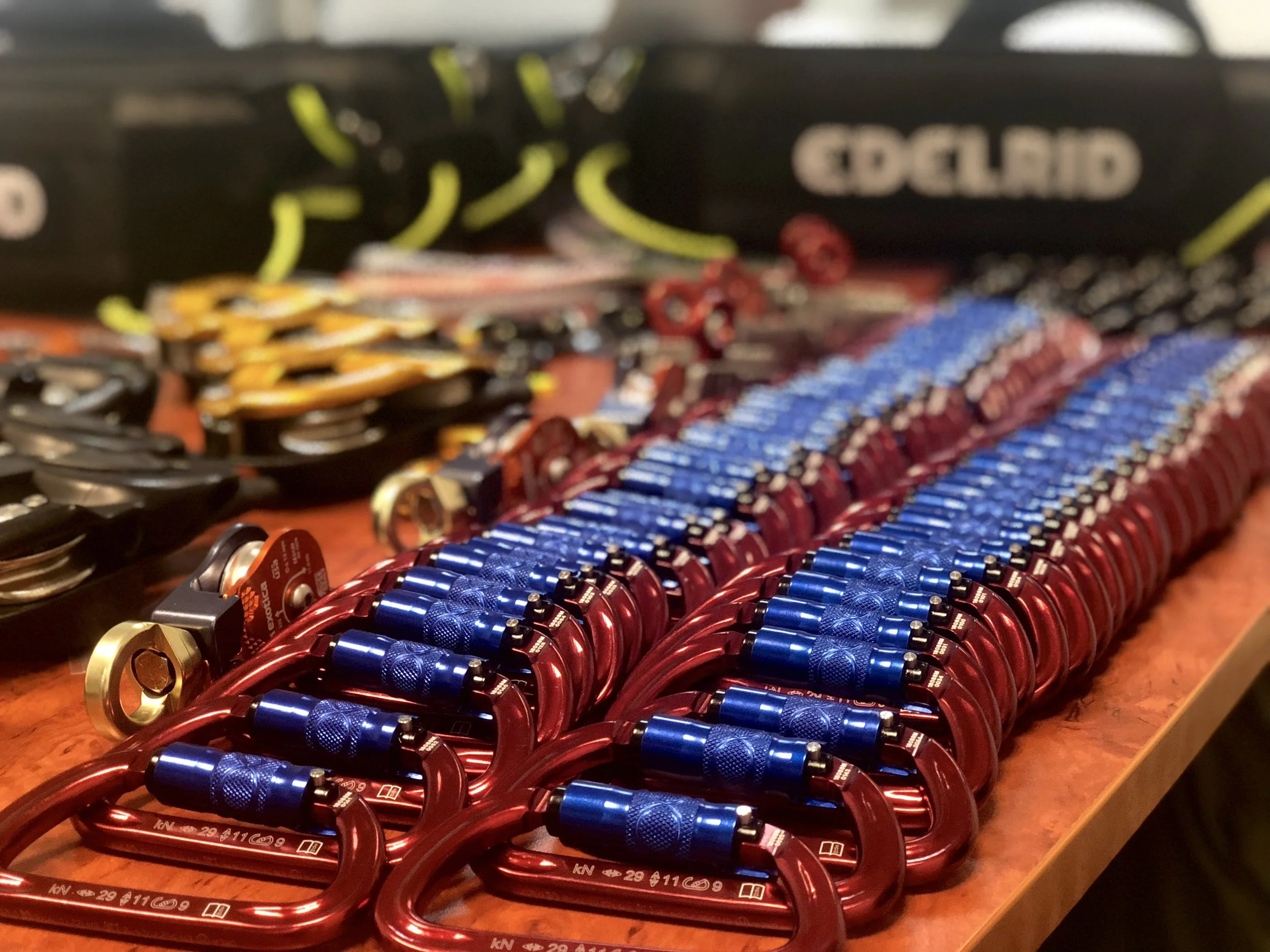 Rigging-Access-Rescue 1 300 74 RISE Learn More