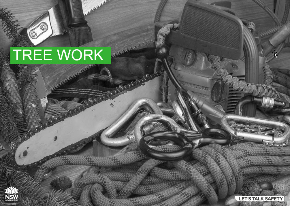 SafeWork NSW Small Business Rebate $500 - Harness and Support Devices Eligible!