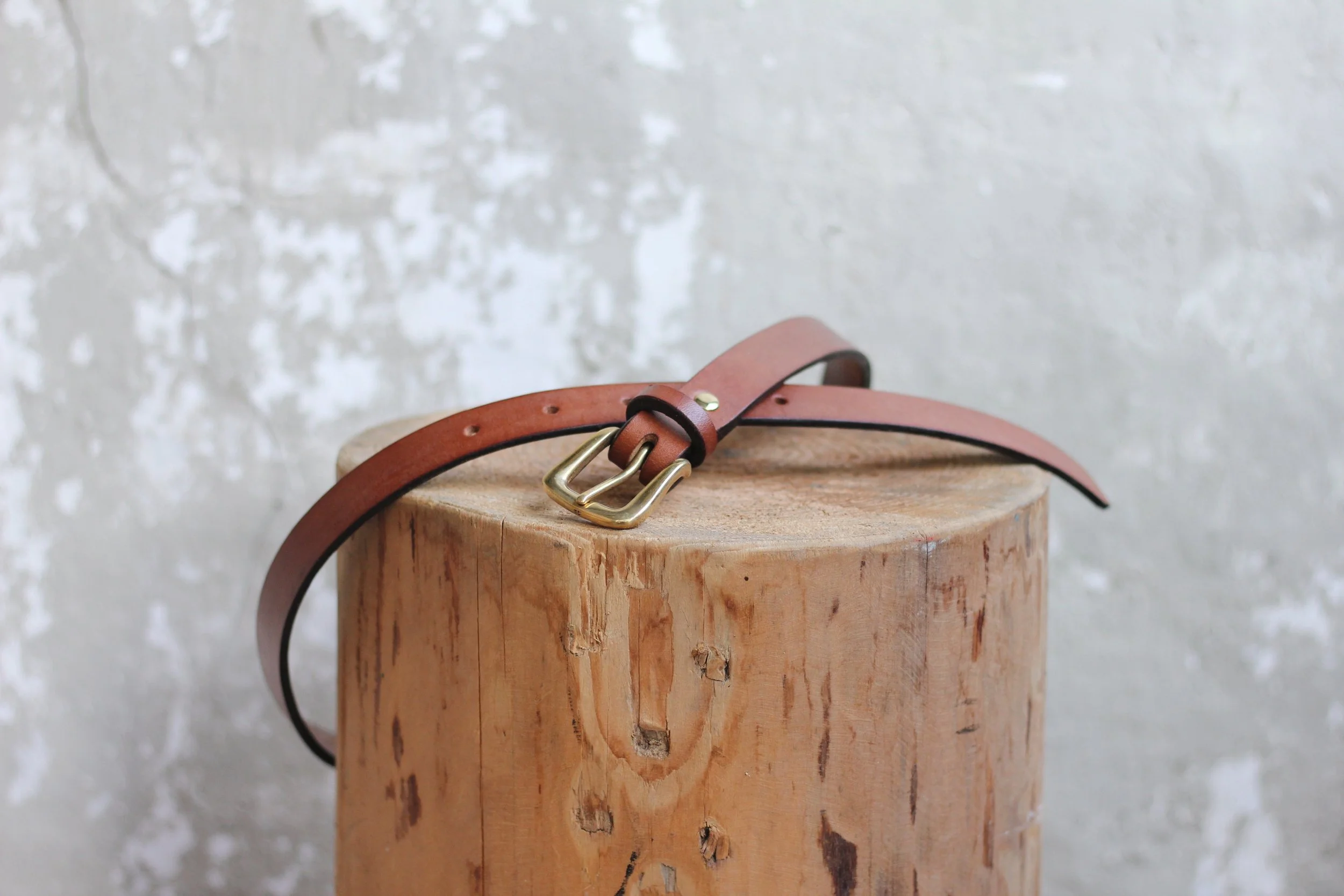 image_6483441 (10).JPG