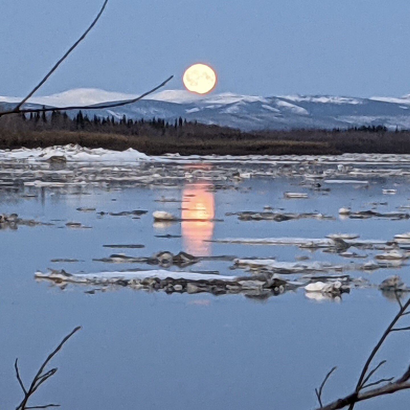 &quot;Stop acting so small. You are the universe in ecstatic motion&quot; - Rumi

The Full Moon over the mighty Yukon. I love this photo because it's low resolution makes it look like a painting ❤️

To hear yesterdays Full Moon episode, click through