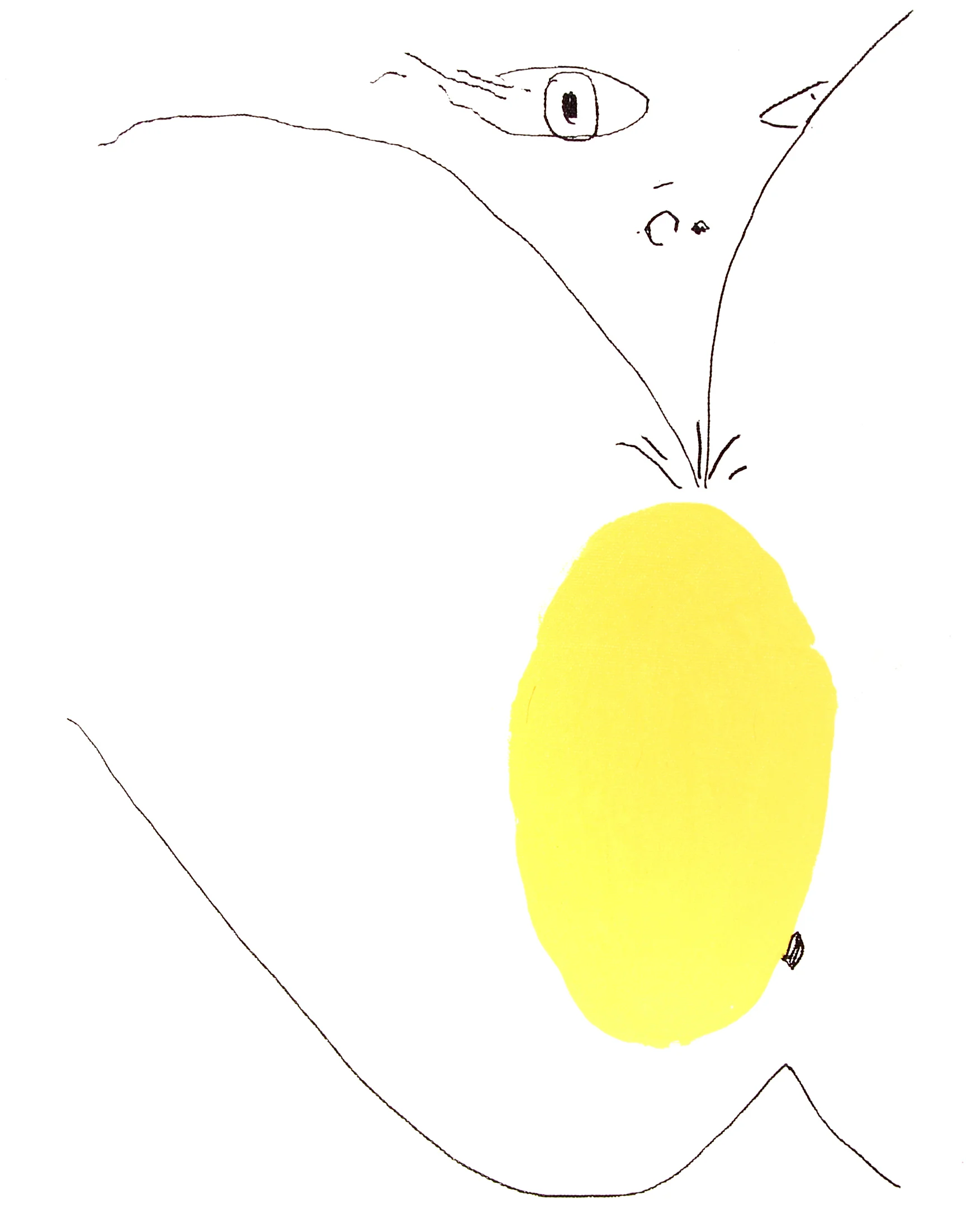 _PLM0080.JPG