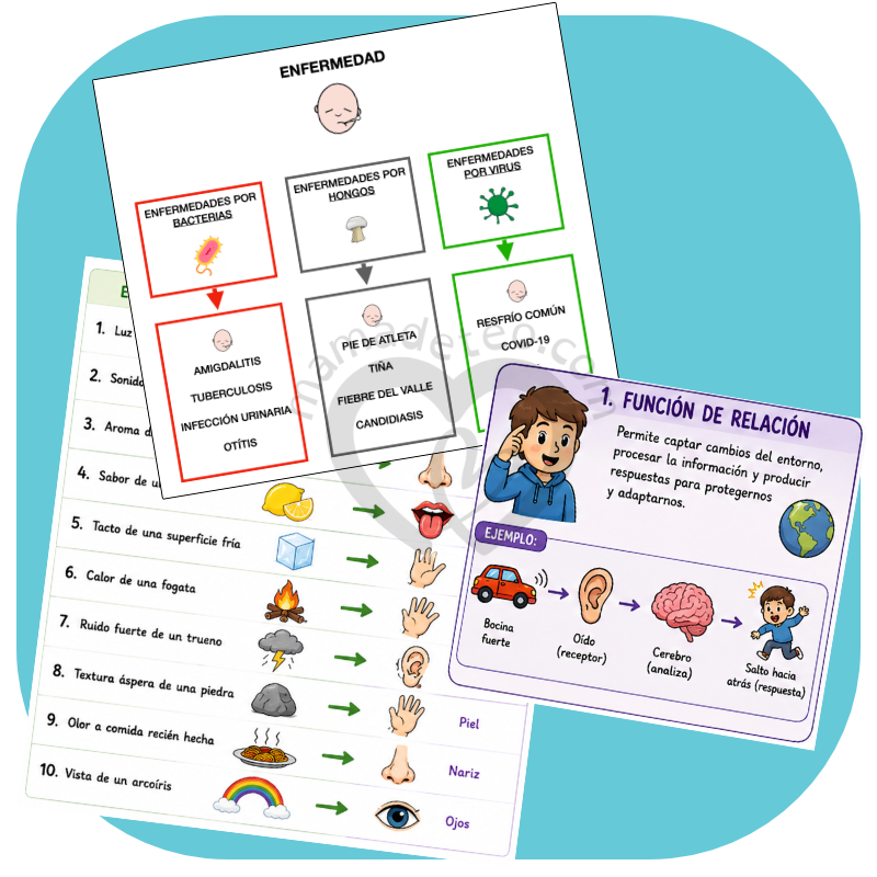 Guías de estudio adaptadas: Biología 1