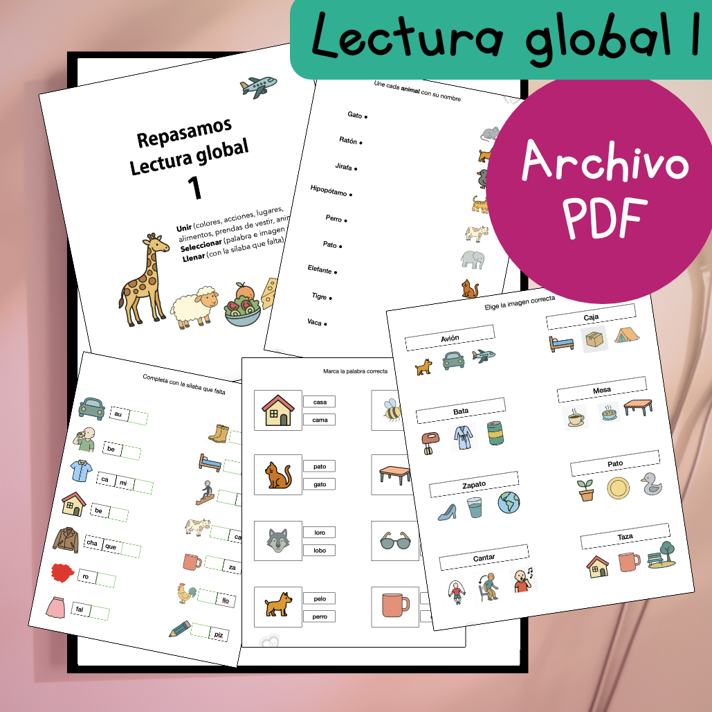 Libro de repaso: lectura global