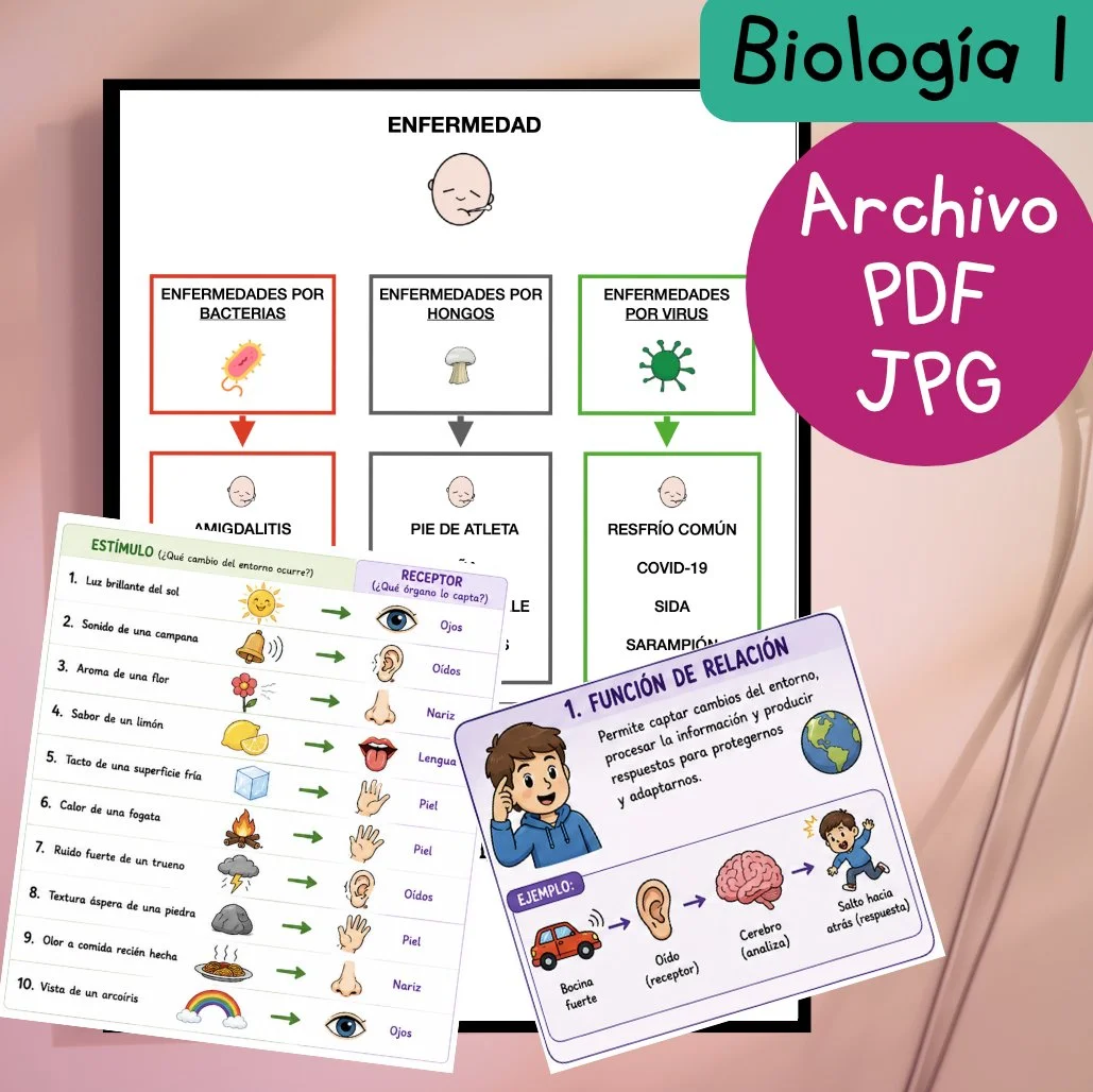 Guías de estudio adaptadas: Biología 1