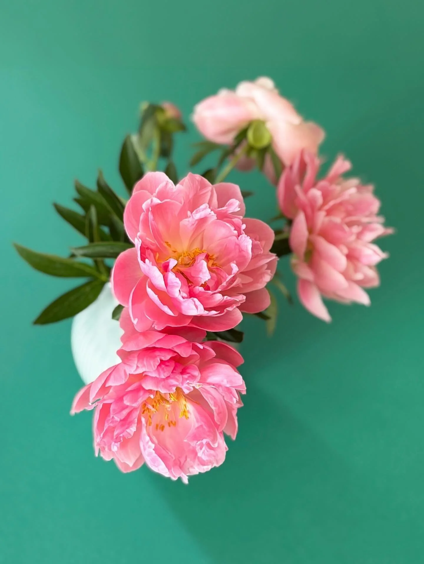 Mars et avril ne sont-ils pas les plus jolis mois ? 🌸✨☀️ 😉