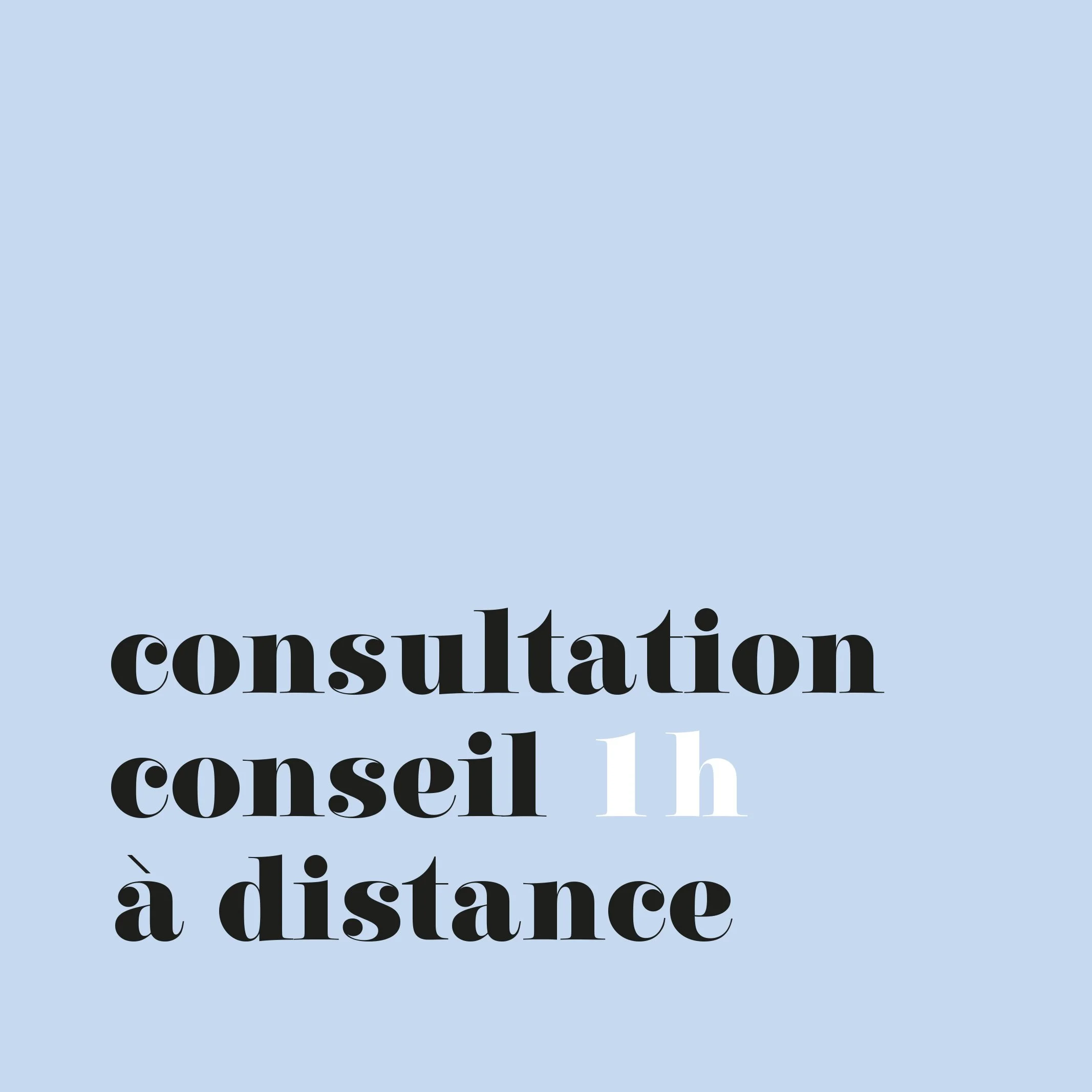 Consultation à distance (1h)