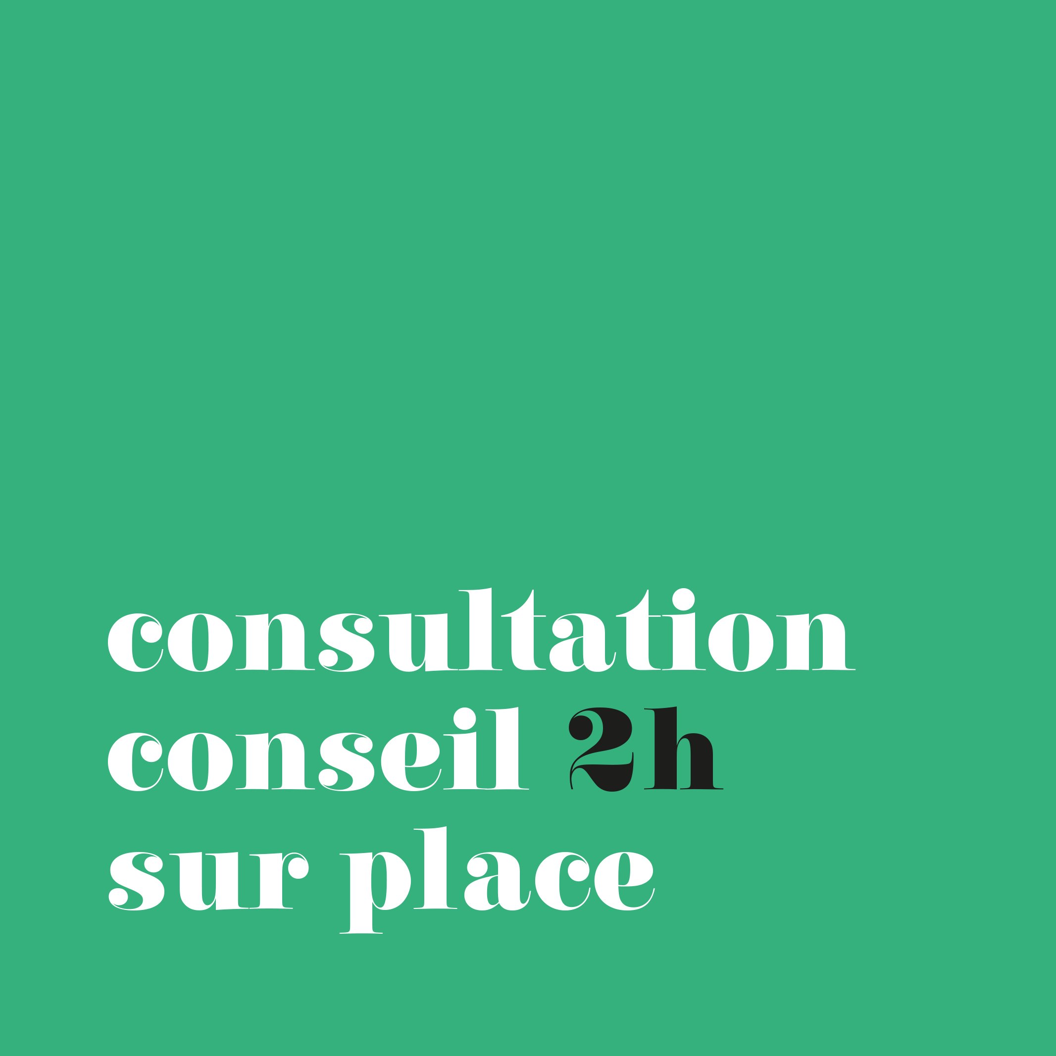 Consultation Conseil sur place