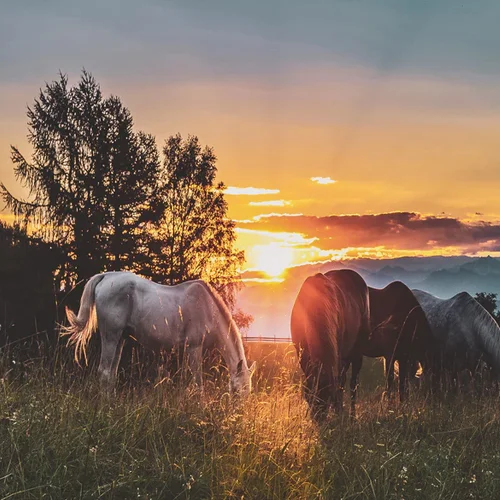 Why I Am Using Mantras in 2016