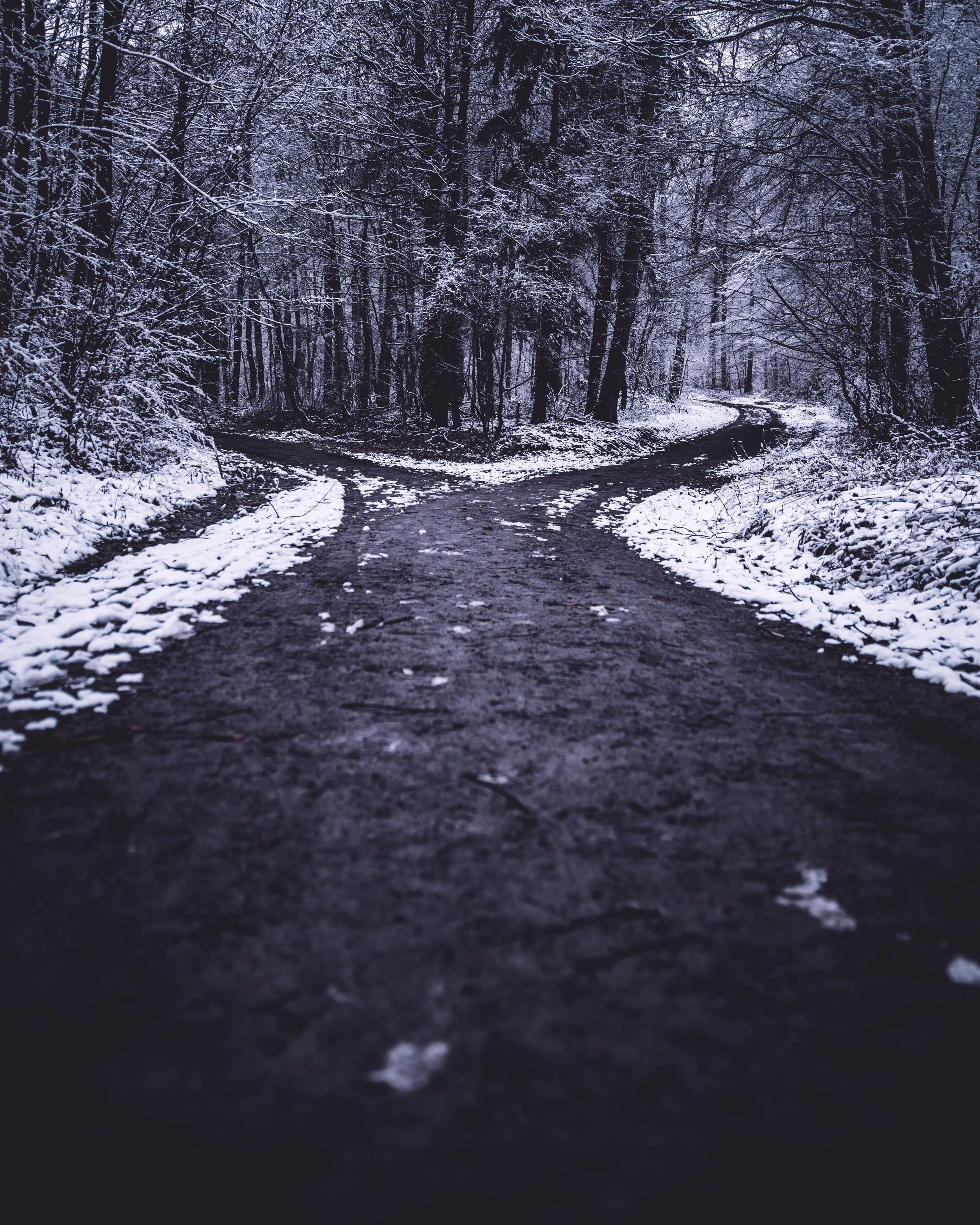 Choosing the Right Path with a Fork in the Road