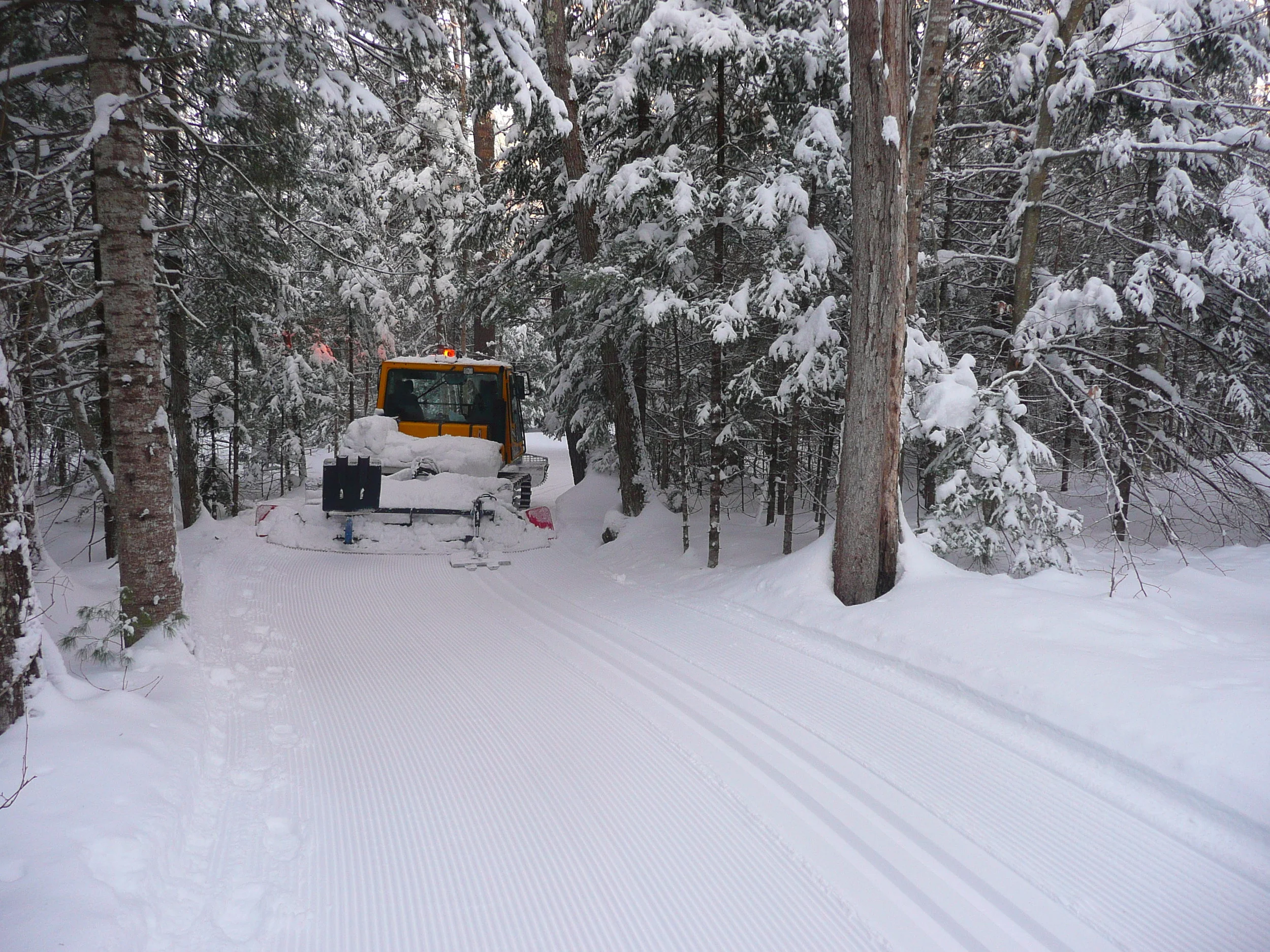 TRAIL CONDITIONS REPORT — Wolfeboro Cross Country Ski Association