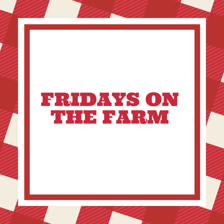 Fridays on the Farm 