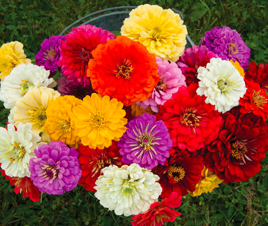 Screen Shot 2022-02-03 at 10.07.26 AM.png