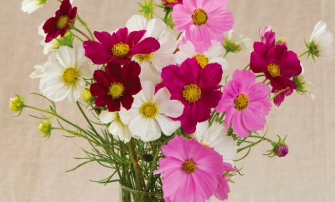 Screen Shot 2022-02-03 at 10.13.17 AM.png