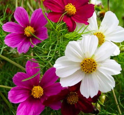 Screen Shot 2022-02-03 at 10.13.26 AM.png