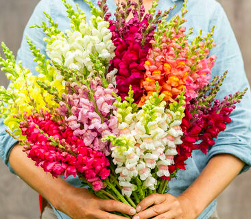 Screen Shot 2022-02-03 at 10.16.25 AM.png