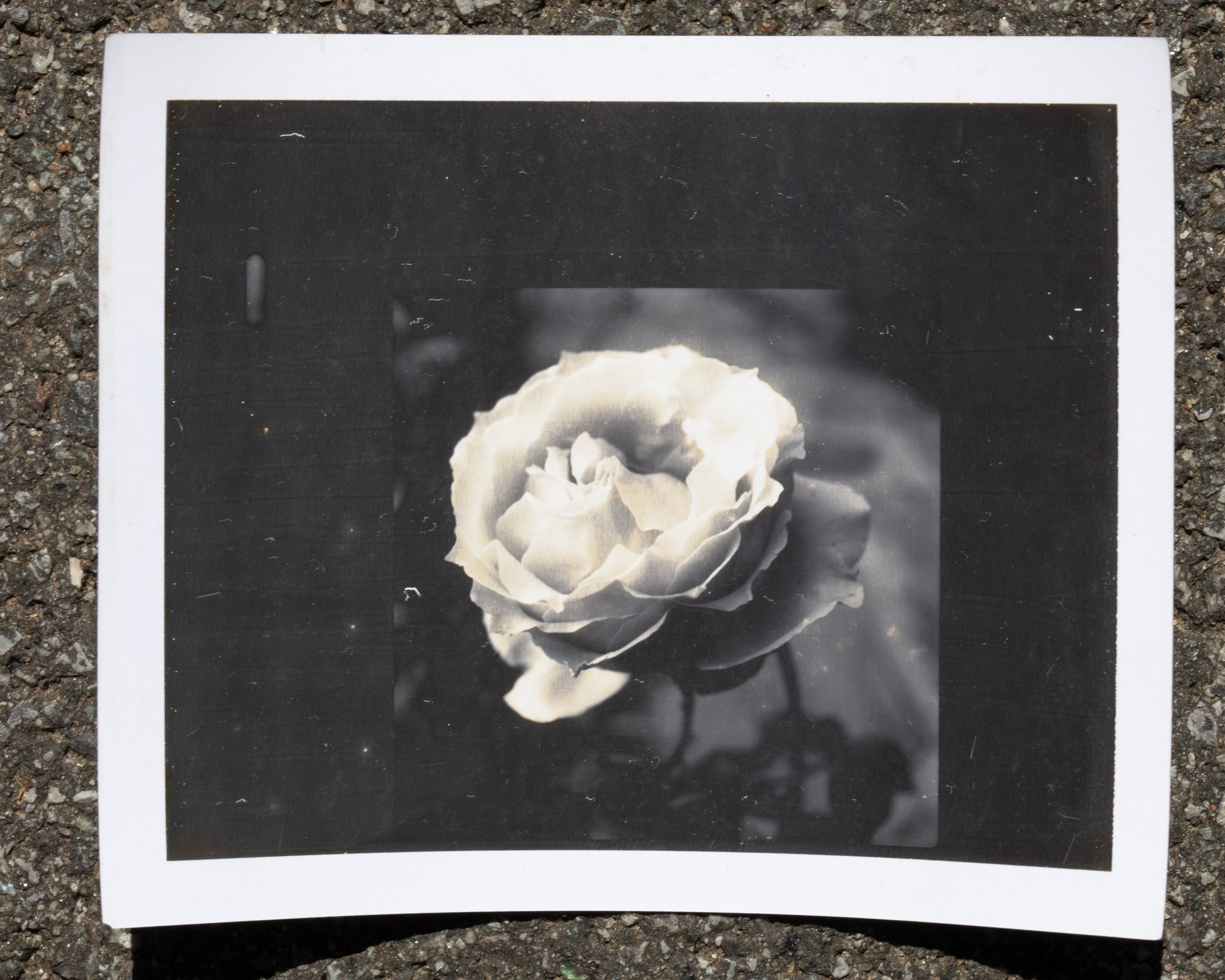nycpolaroid-3434.jpg