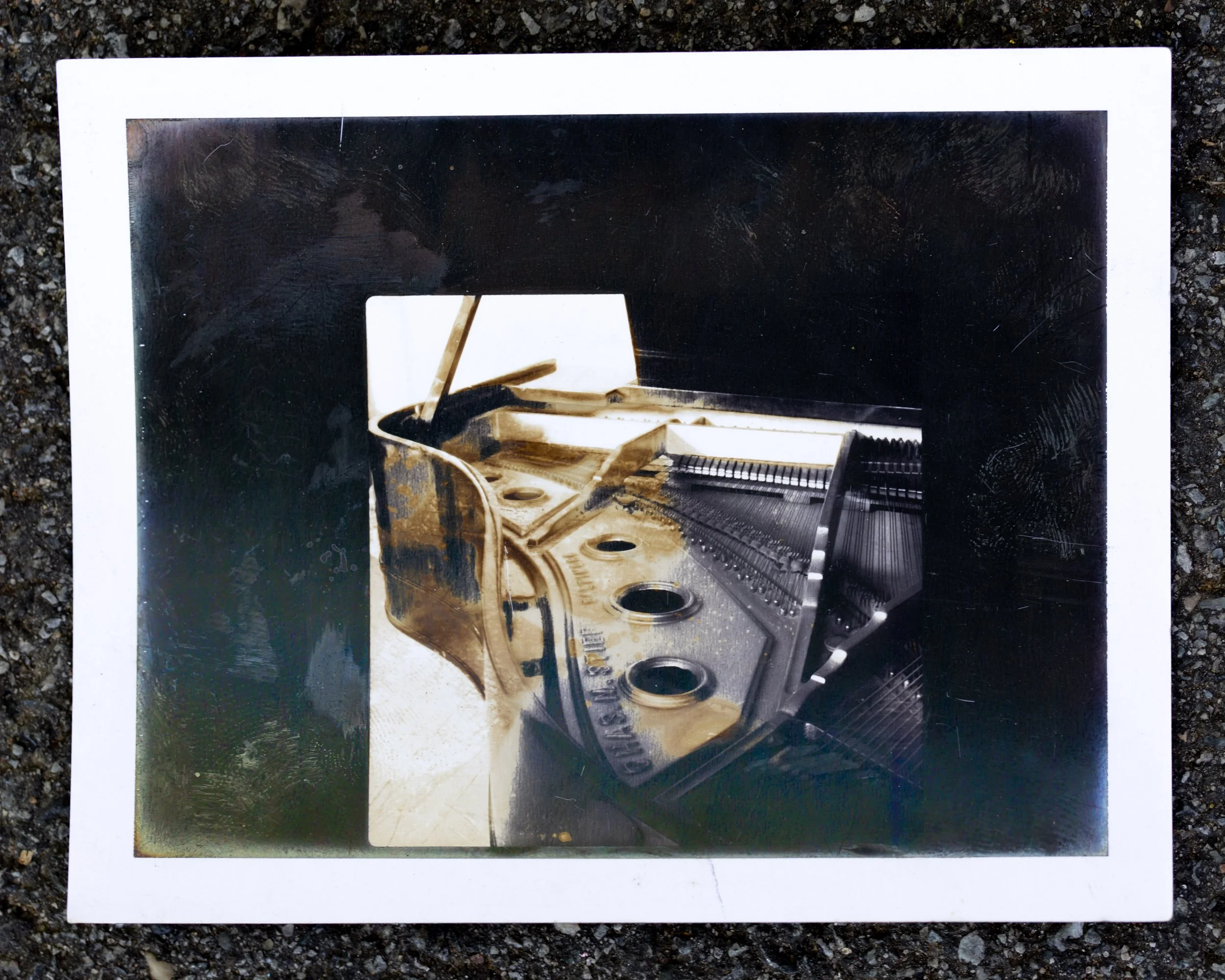 nycpolaroid-3334.jpg