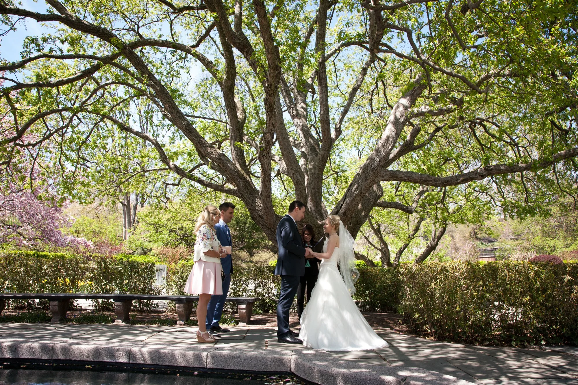 Couple photographed in quiet section of Central Park during intimate NYC elopement.