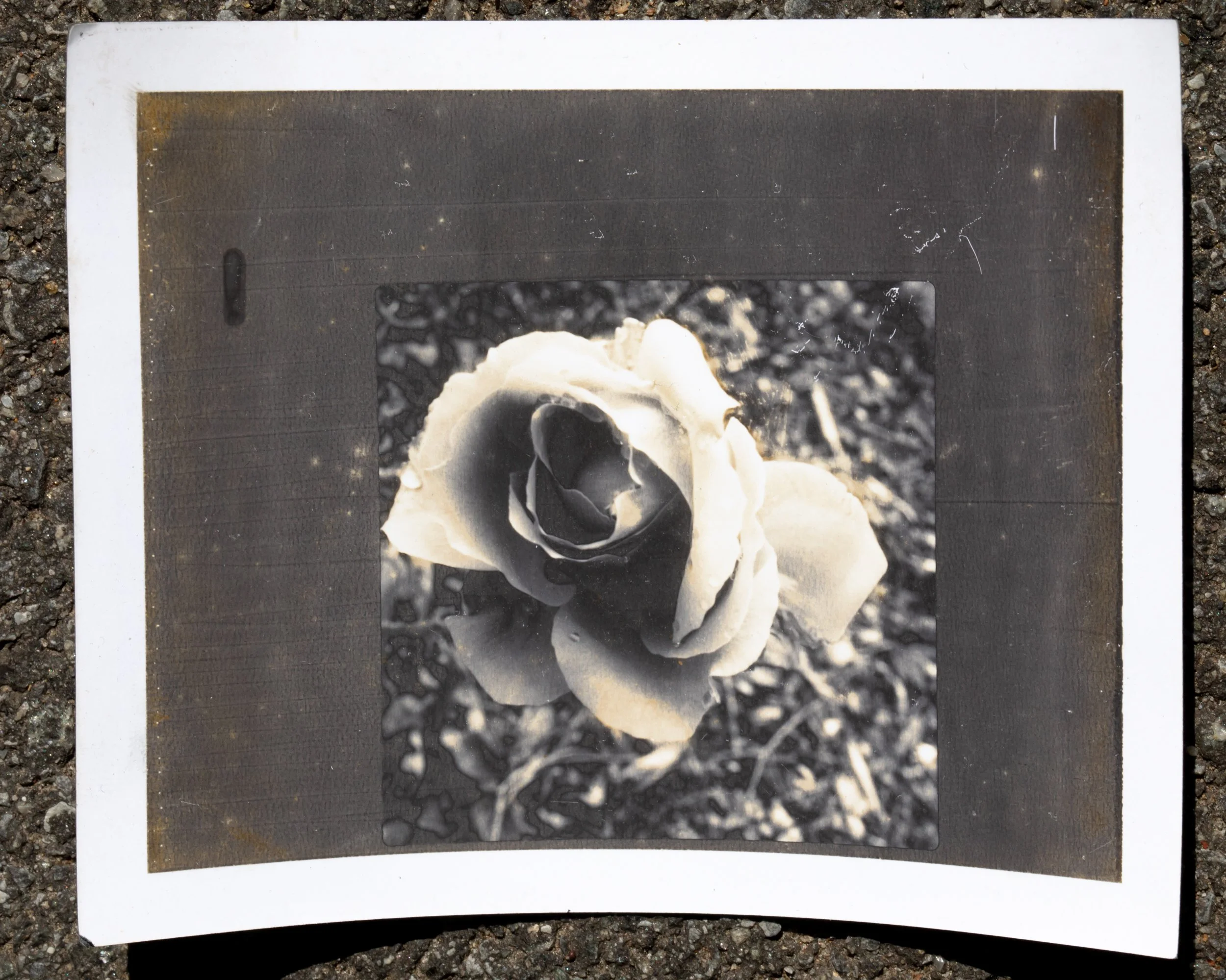 nycpolaroid-3429.jpg