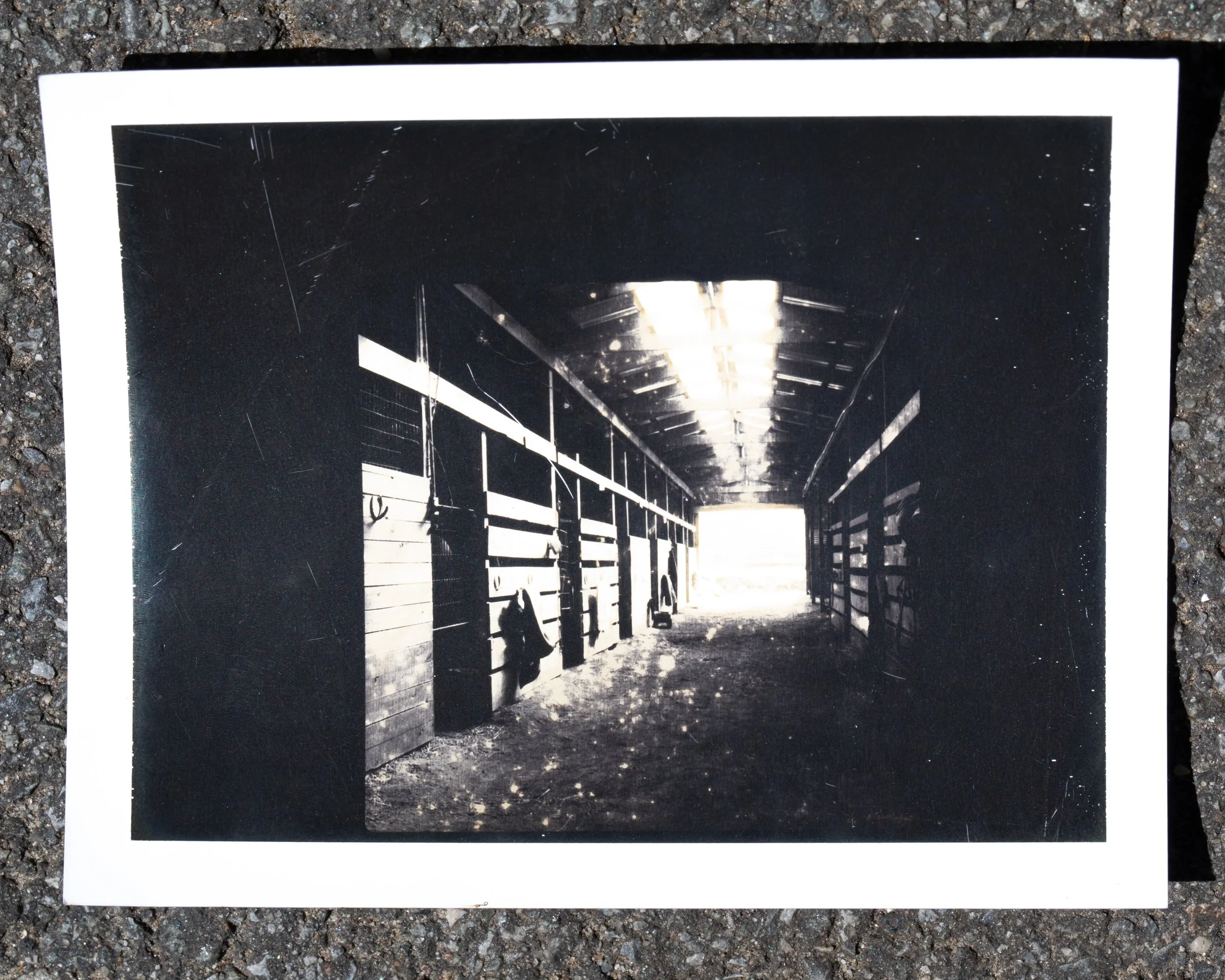 nycpolaroid-3572.jpg