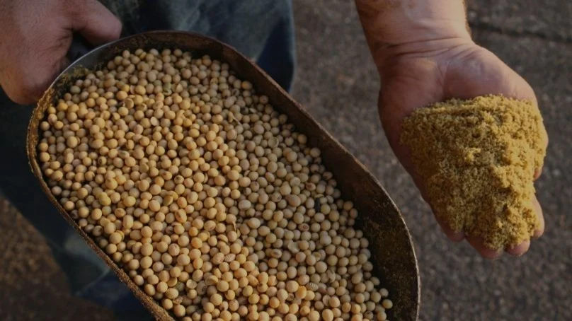 High-Protein-Animal-Feed-Soybean-Meal-Non.jpg