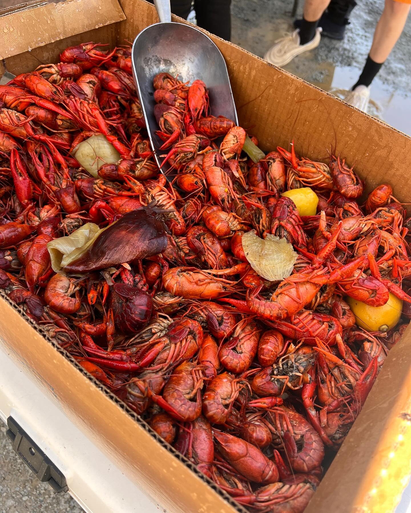 The Camp will be slingin&rsquo; mud bugs and dranks at the 4th Annual Crawfish Festival THIS SATURDAY!!!!! We hope to see YOU there!!!

🦞4th Annual Crawfish Festival
👉Saturday, April 20
⏰12:00 - 10:00 PM
 📍 Crawfish Festival has changed locations!