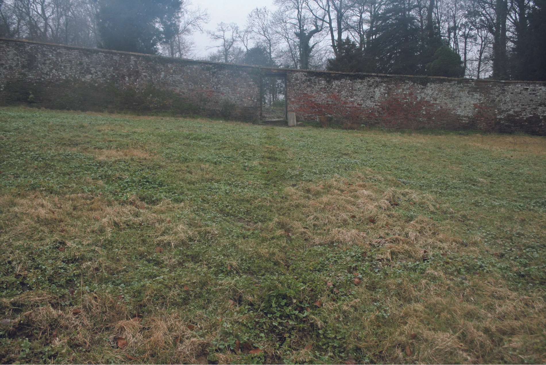 SPL_05_Hadspen_Somerset.jpg