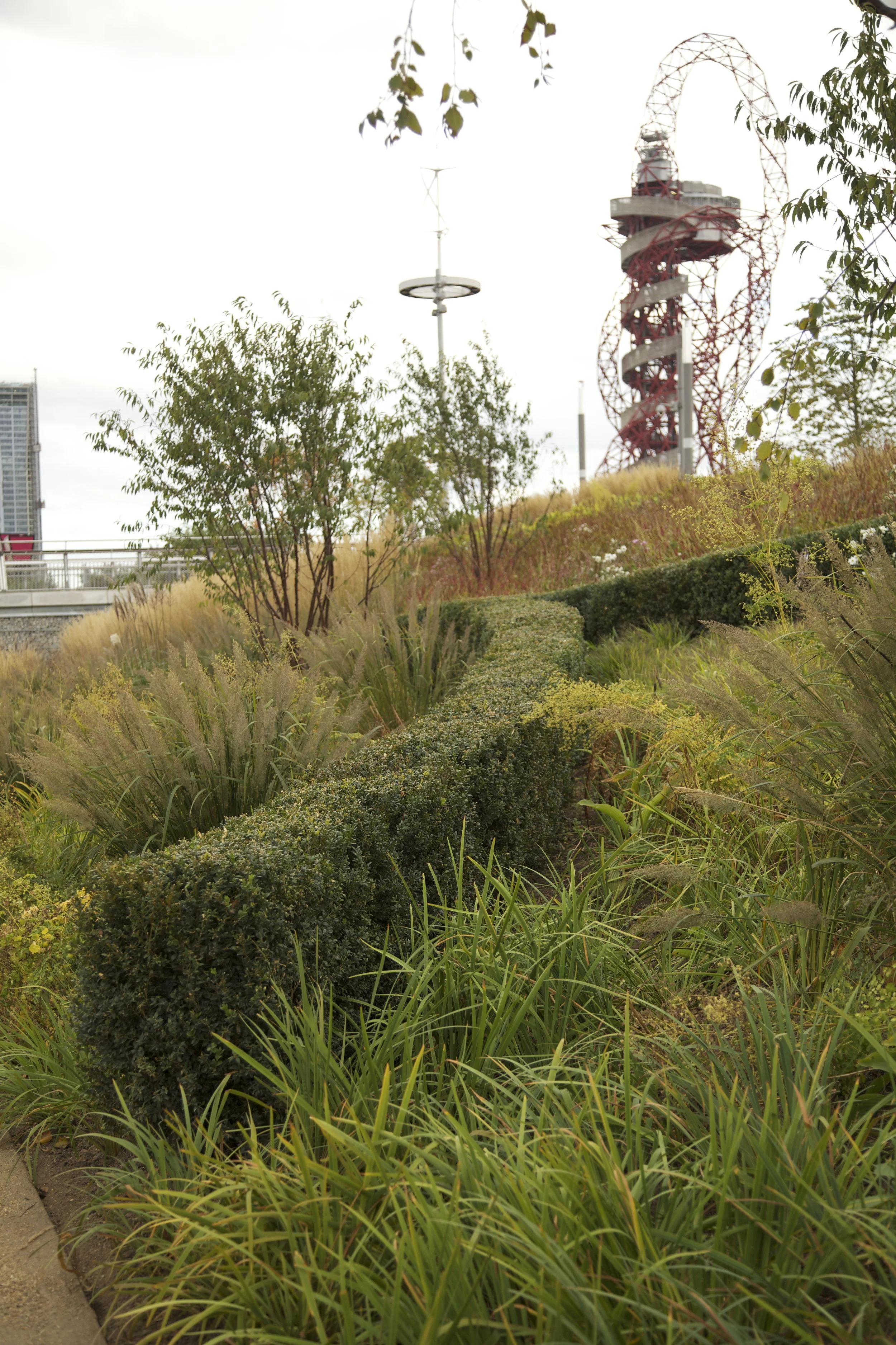 SPL_02_OlympicGardens_Asia_London.jpg