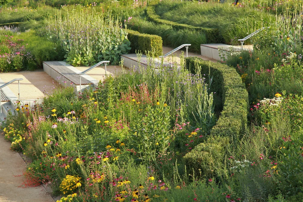 Public Olympic Gardens North America — Sarah Price Landscapes