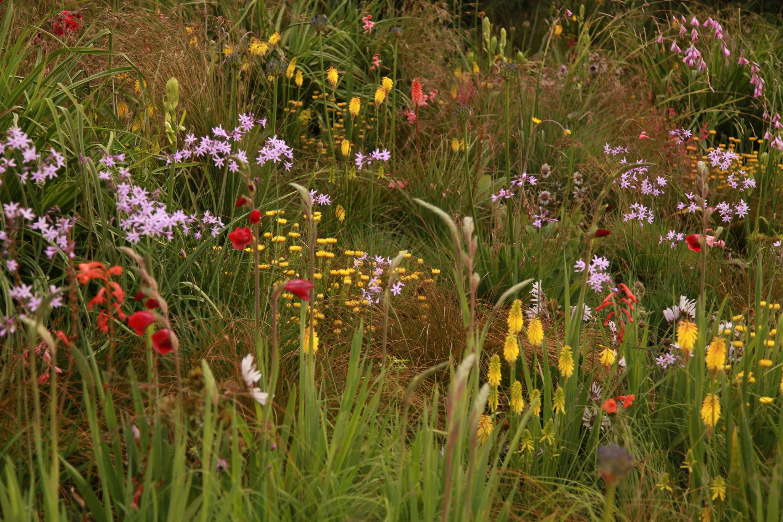 SPL_04_OlympicGardens_SouthernHemisphere_London.jpg
