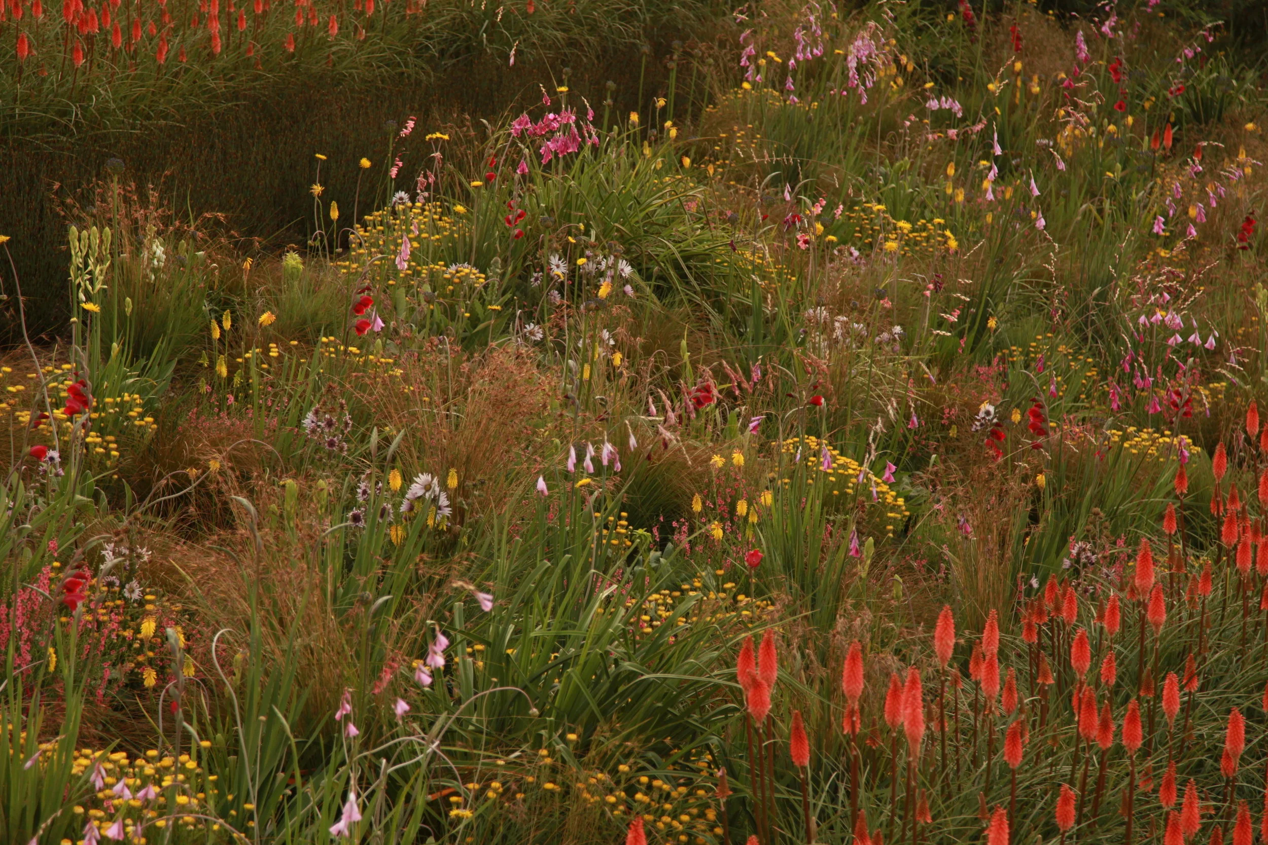SPL_08_OlympicGardens_SouthernHemisphere_London.jpg