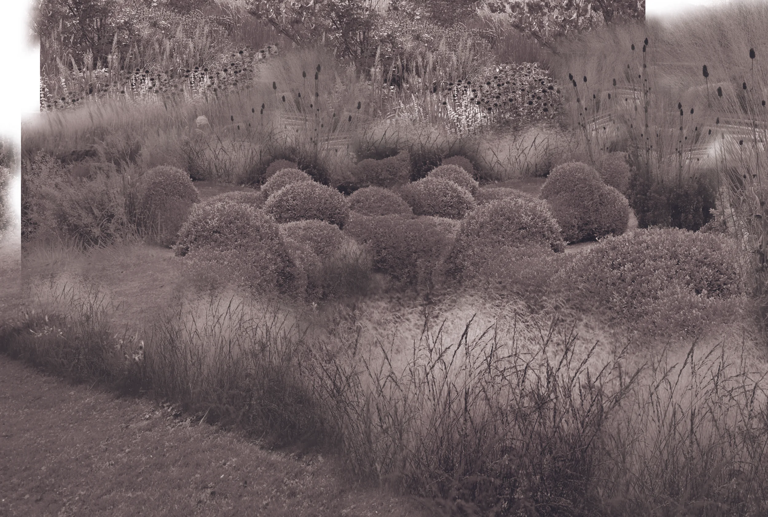 SPL_04_WhitworthArtGallery_Manchester.jpg