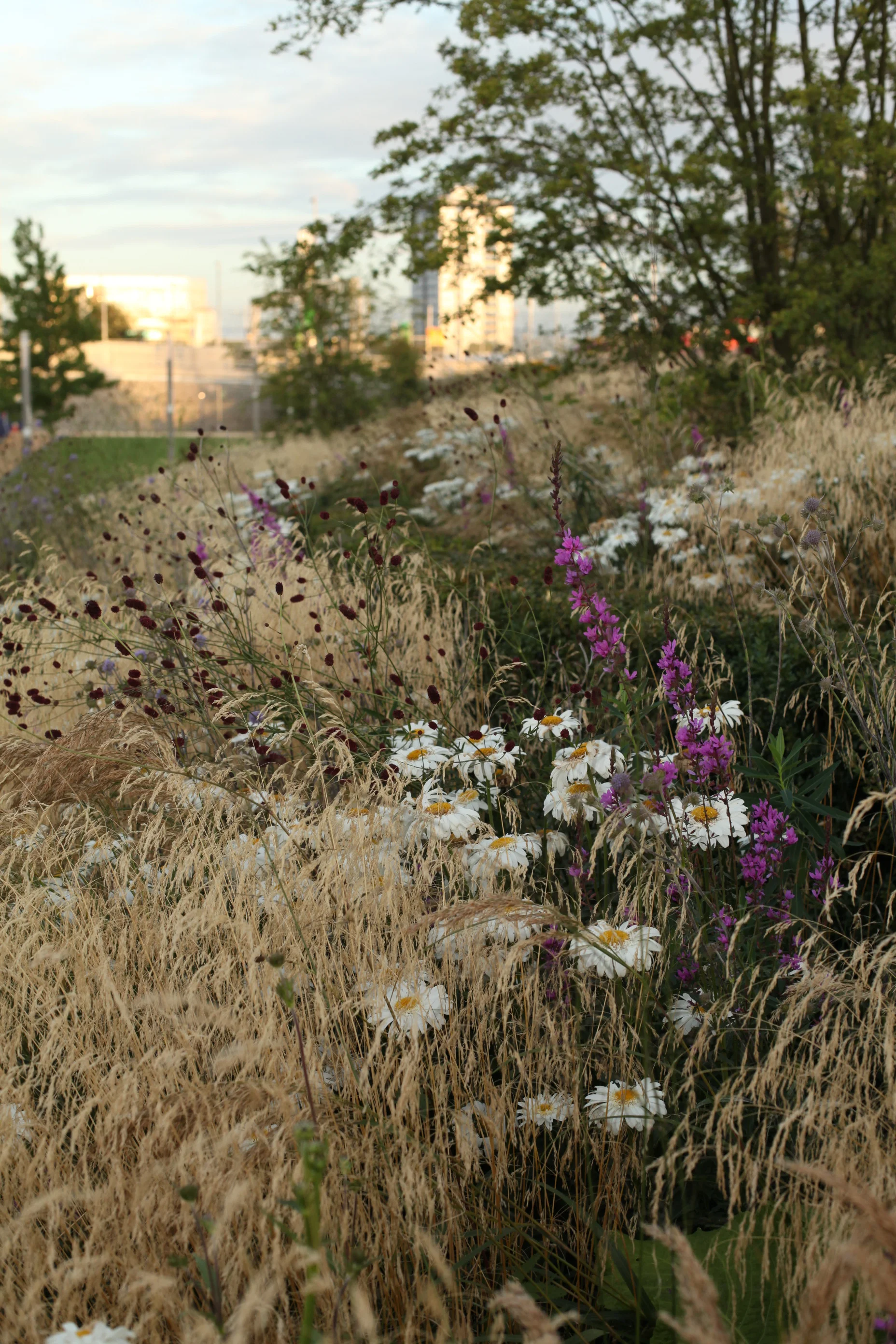 SPL_04_OlympicGardens_Europe_London.jpg