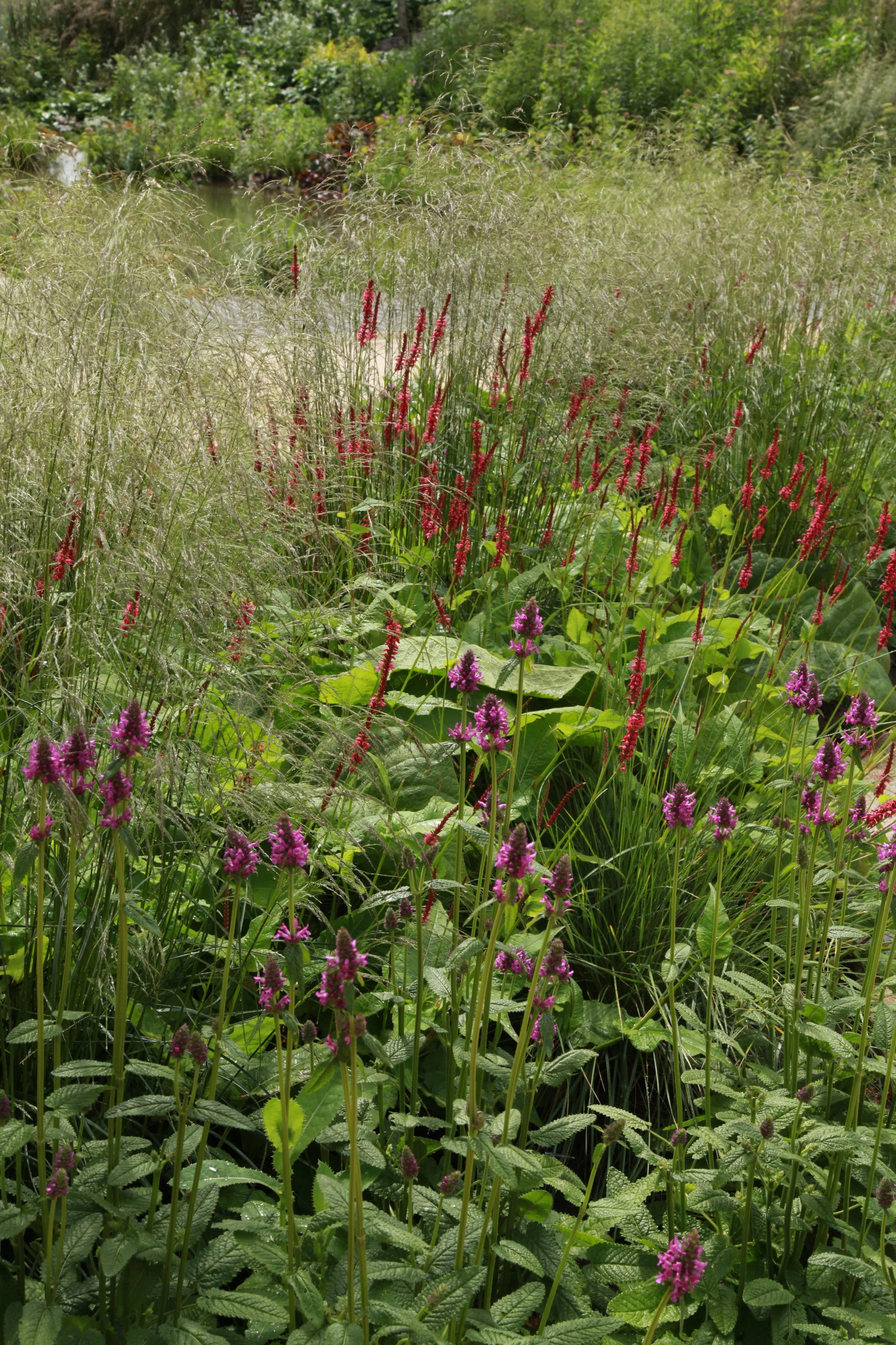 SPL_02_OlympicGardens_GreatBritishGarden_London.jpg