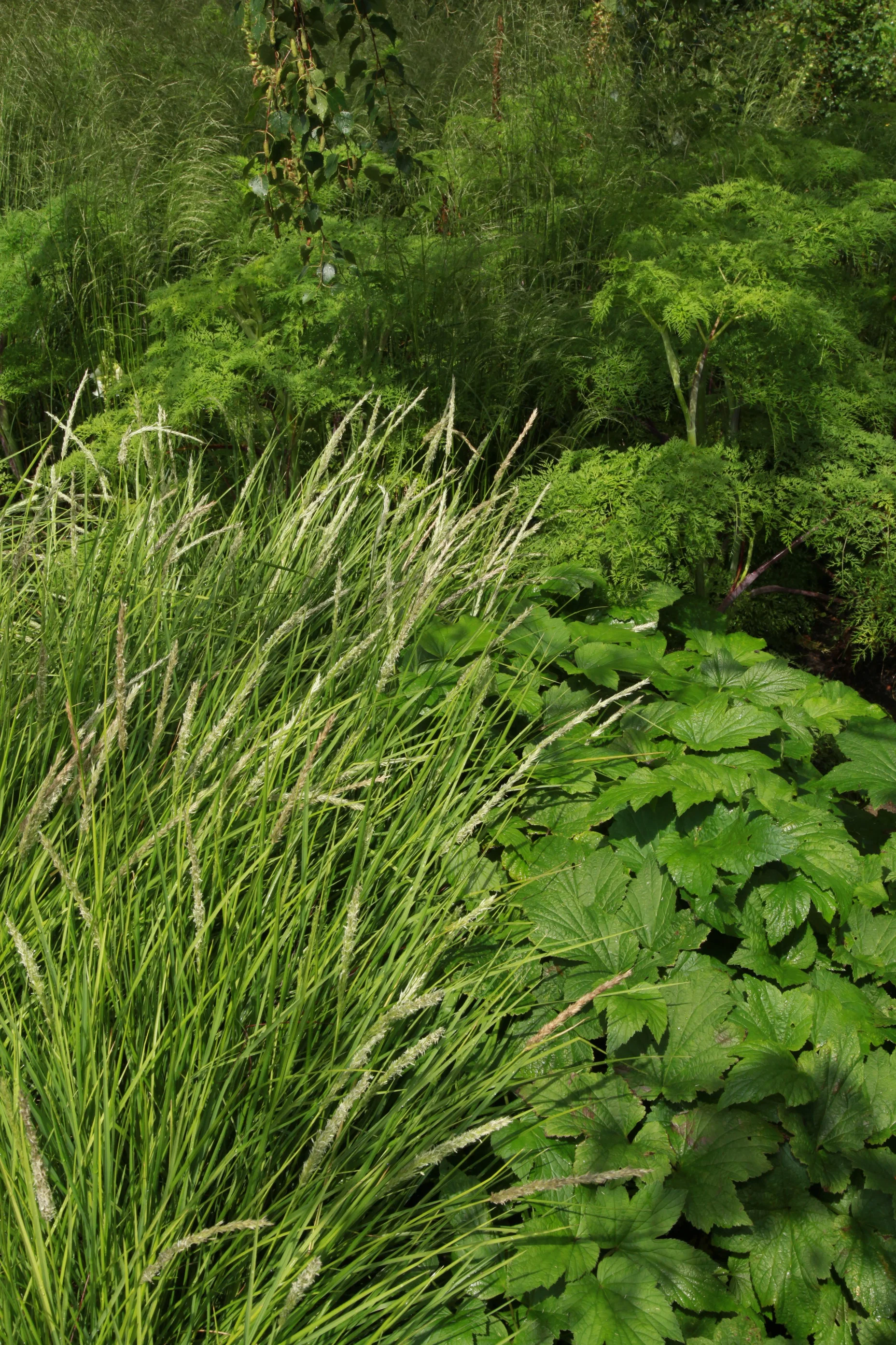 SPL_05_OlympicGardens_GreatBritishGarden_London.jpg