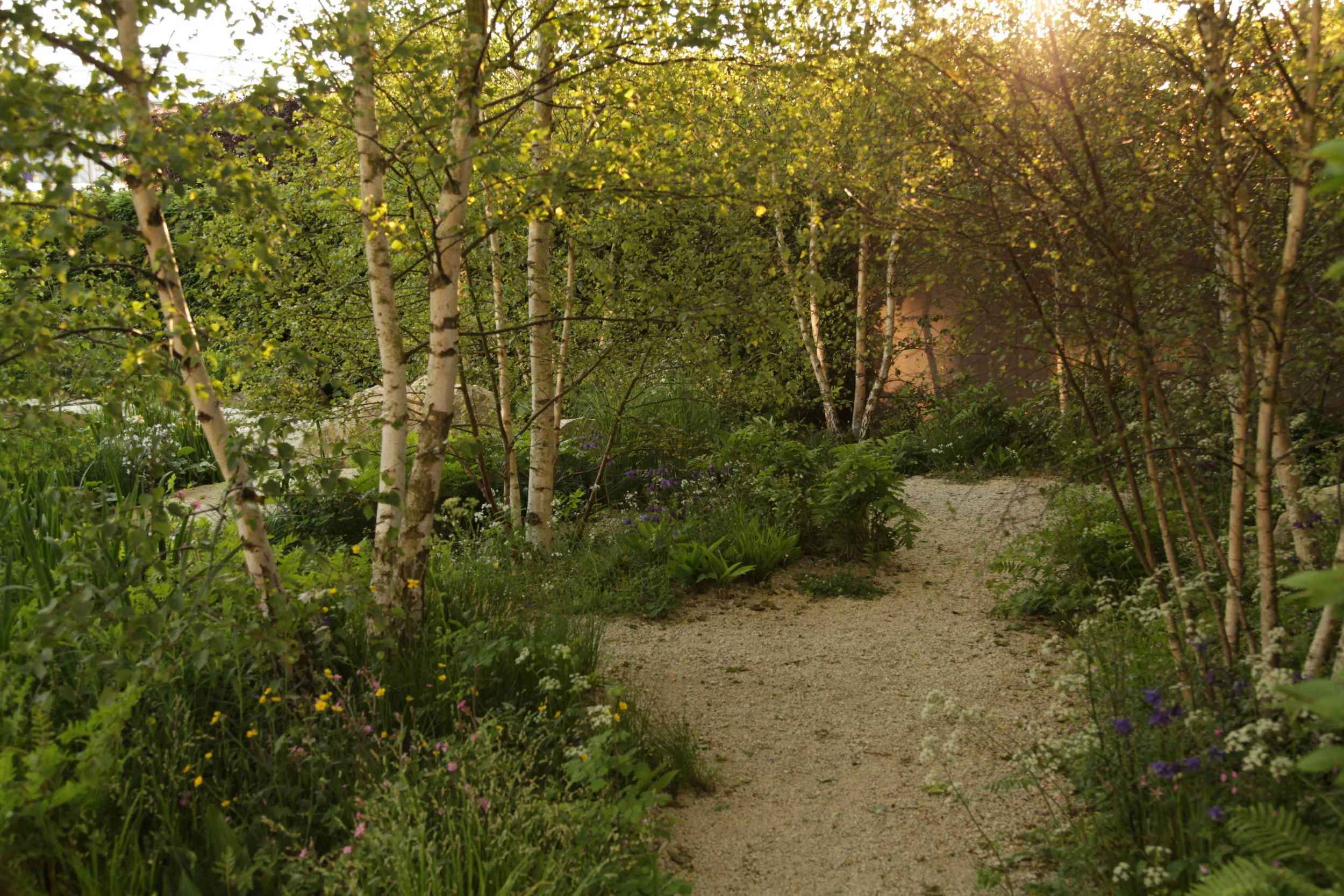 SPL_04_RHSChelsea2012.jpg